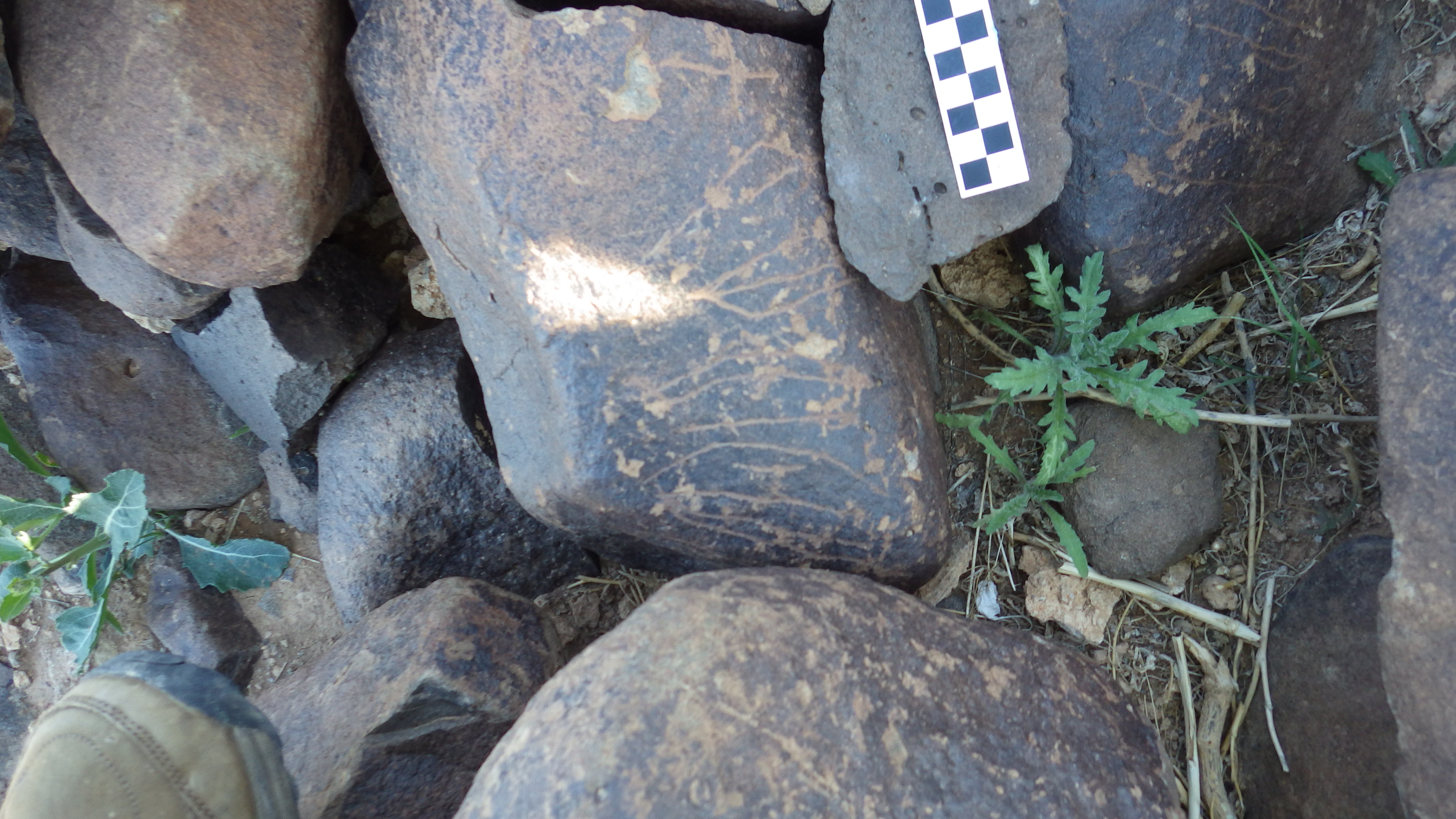 Image of siglum BES20 626