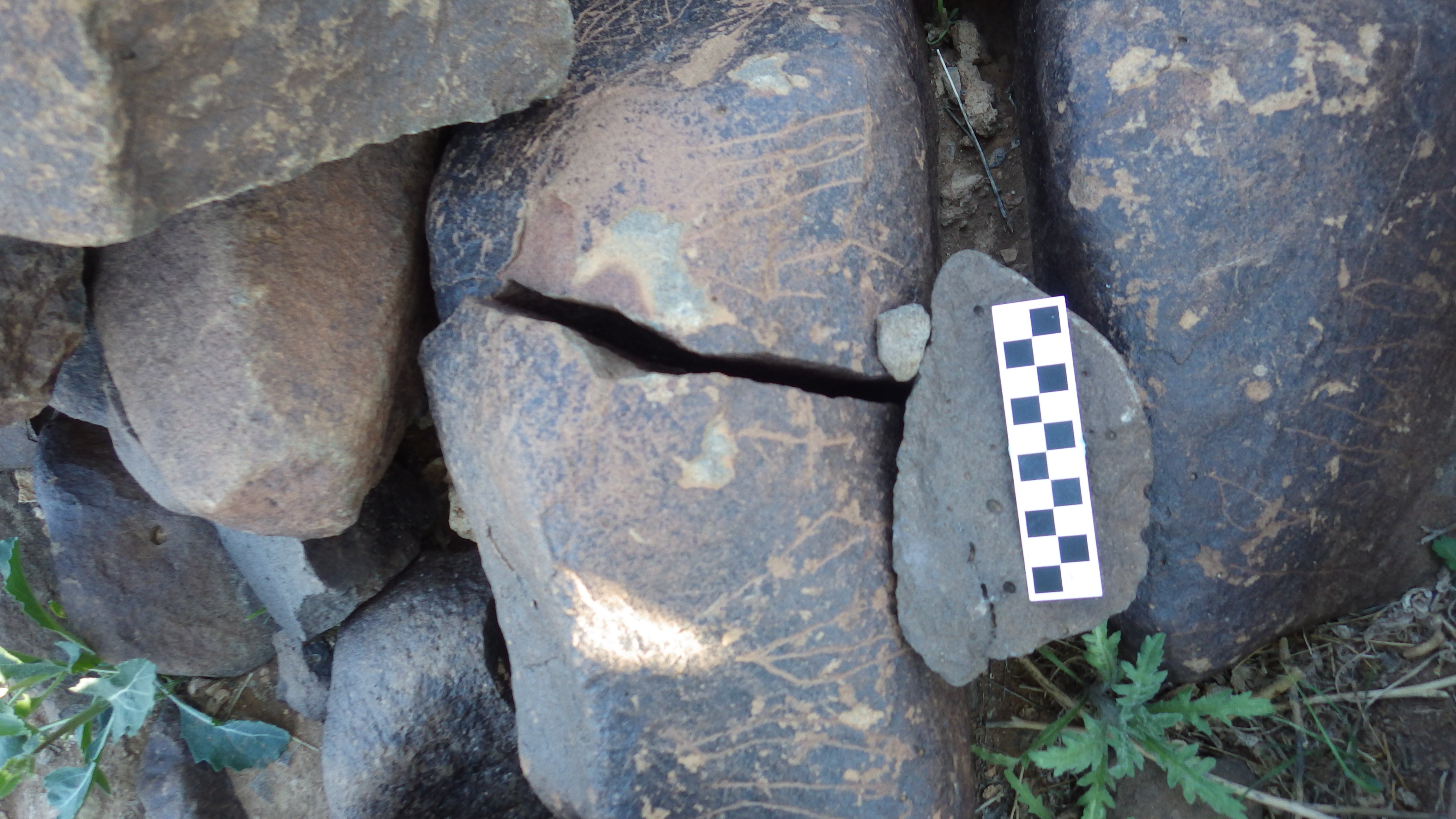 Image of siglum BES20 626