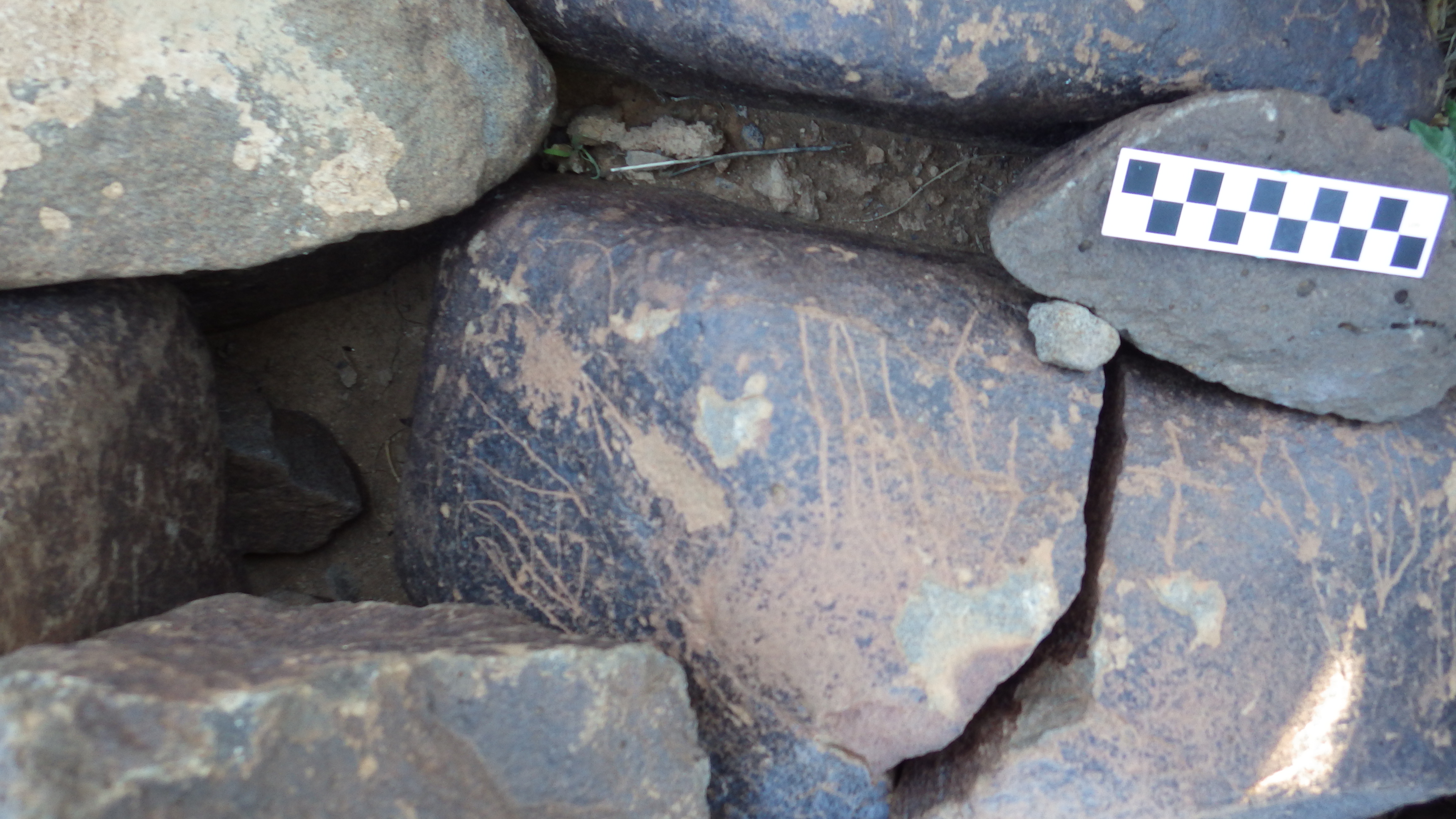 Image of siglum BES20 626