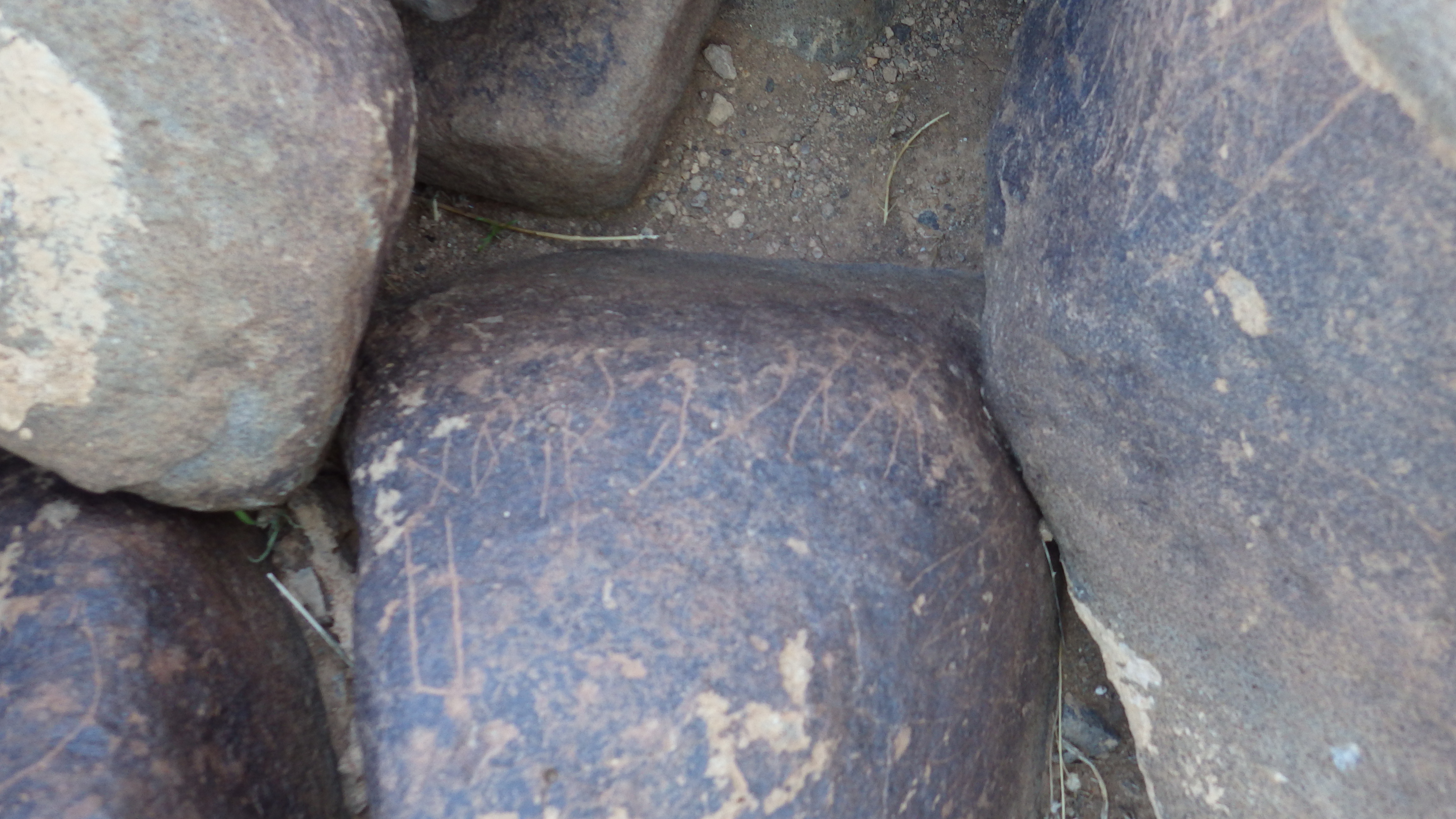 Image of siglum BES20 627