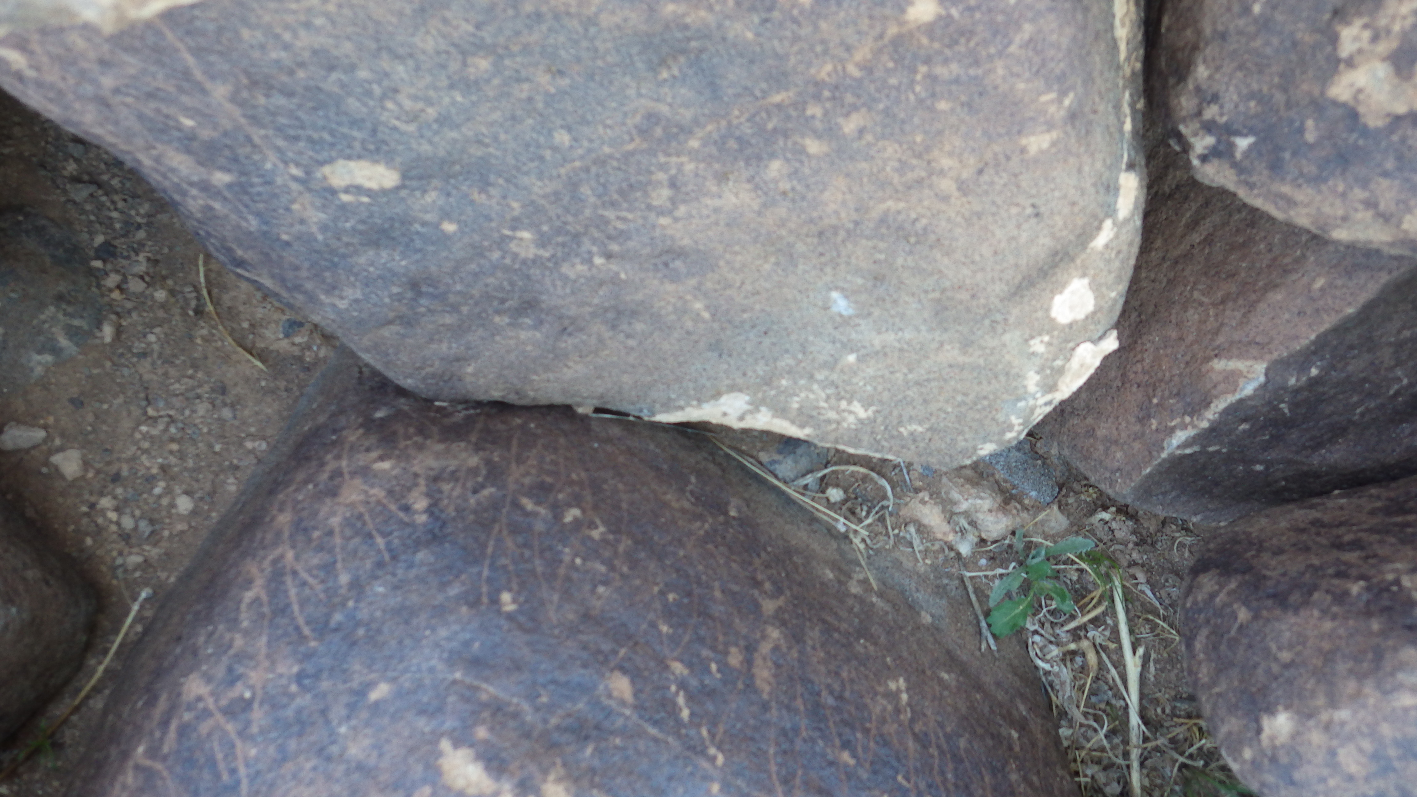 Image of siglum BES20 627