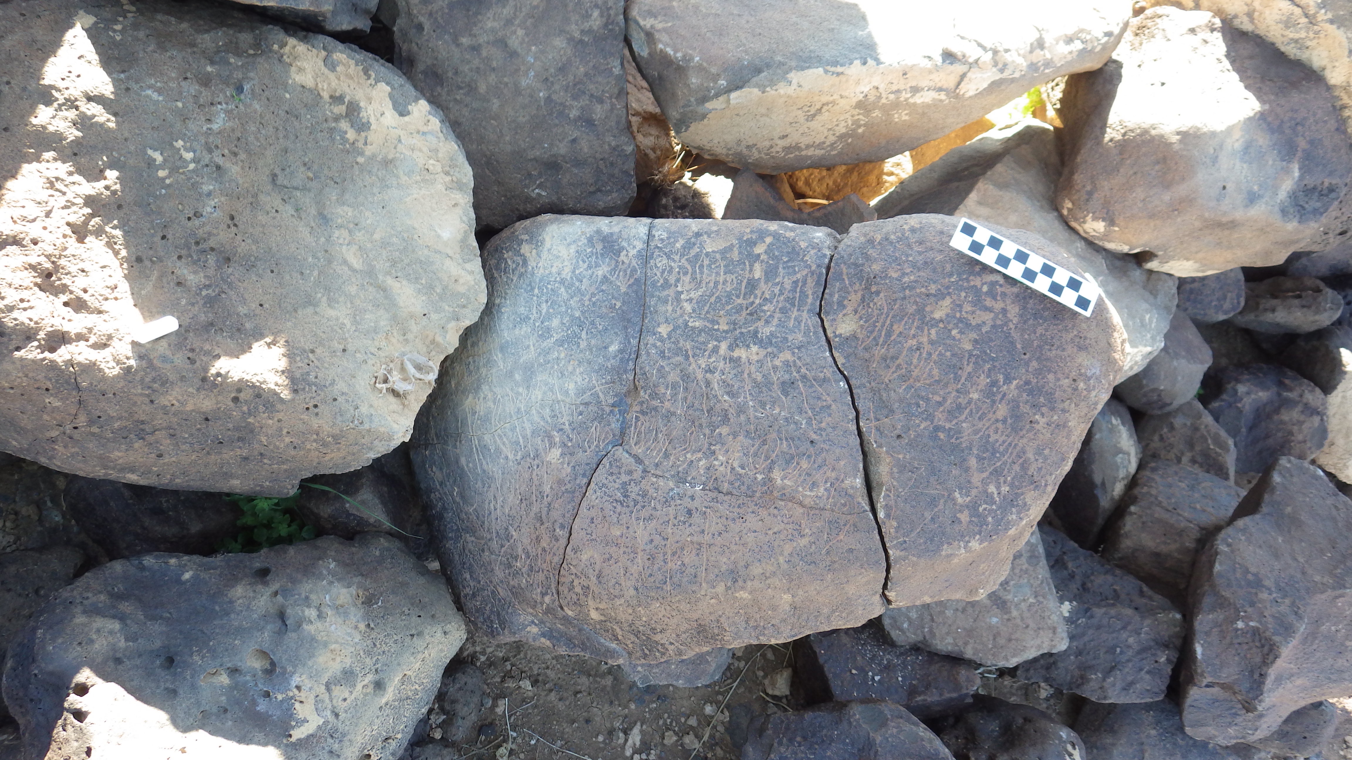 Image of siglum BES20 628