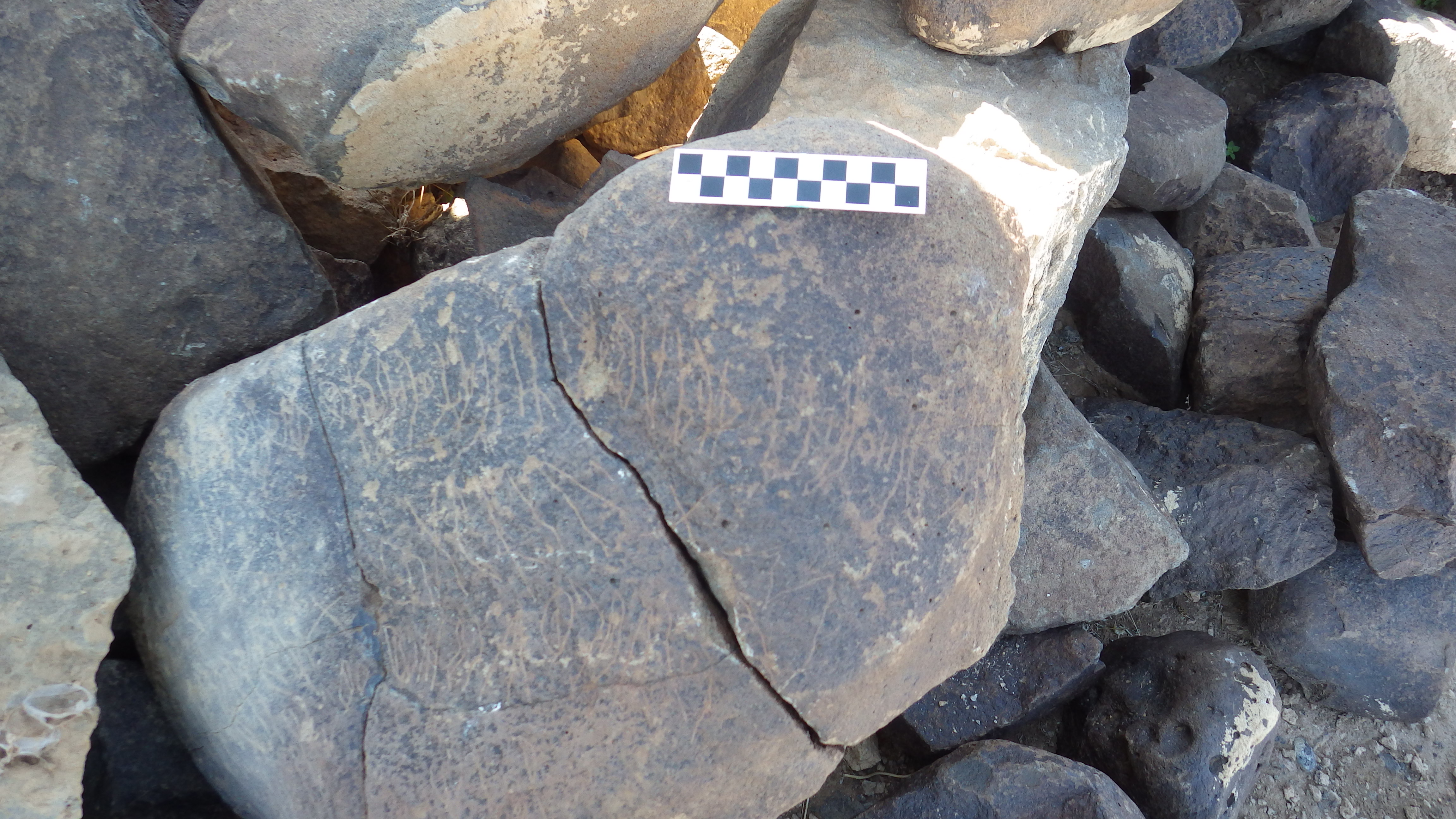 Image of siglum BES20 628