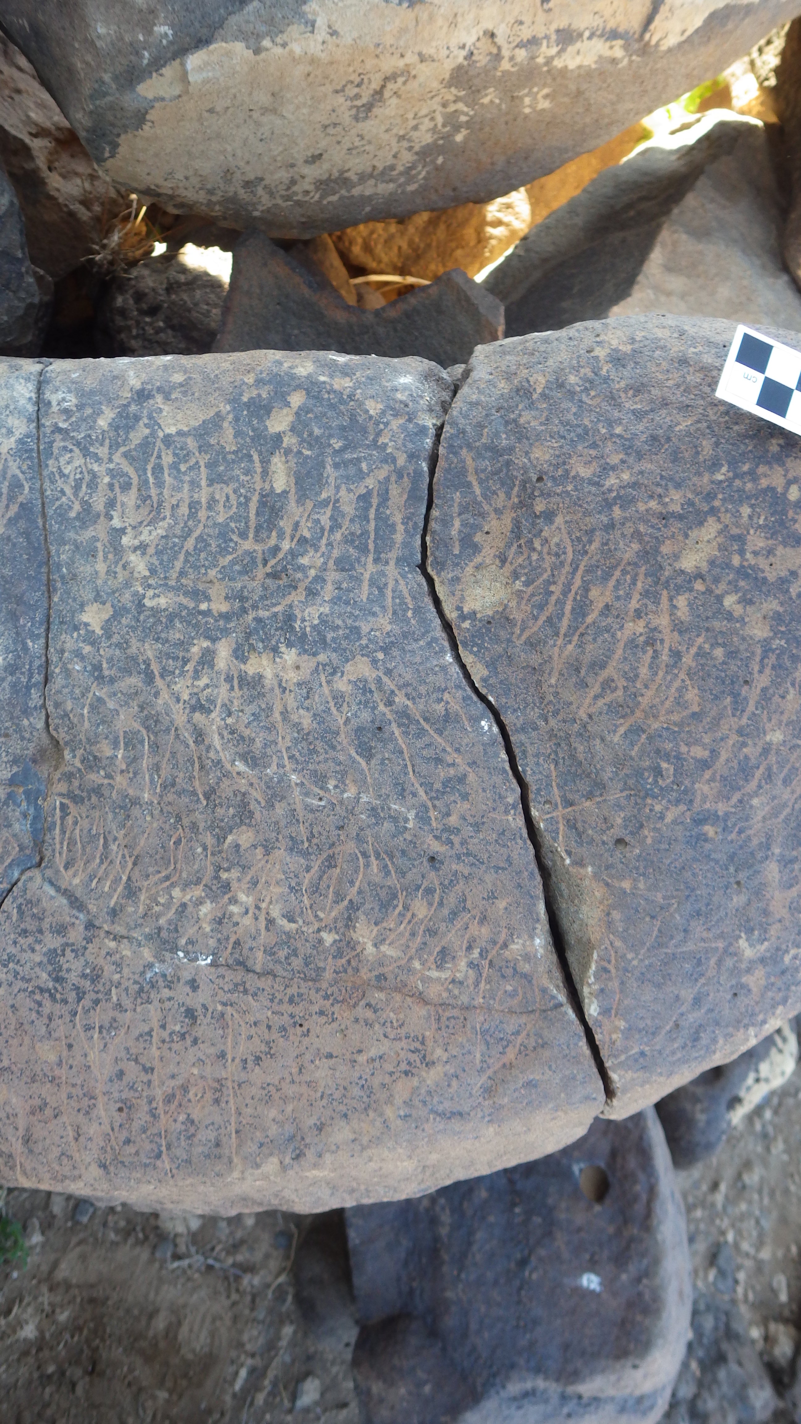 Image of siglum BES20 628