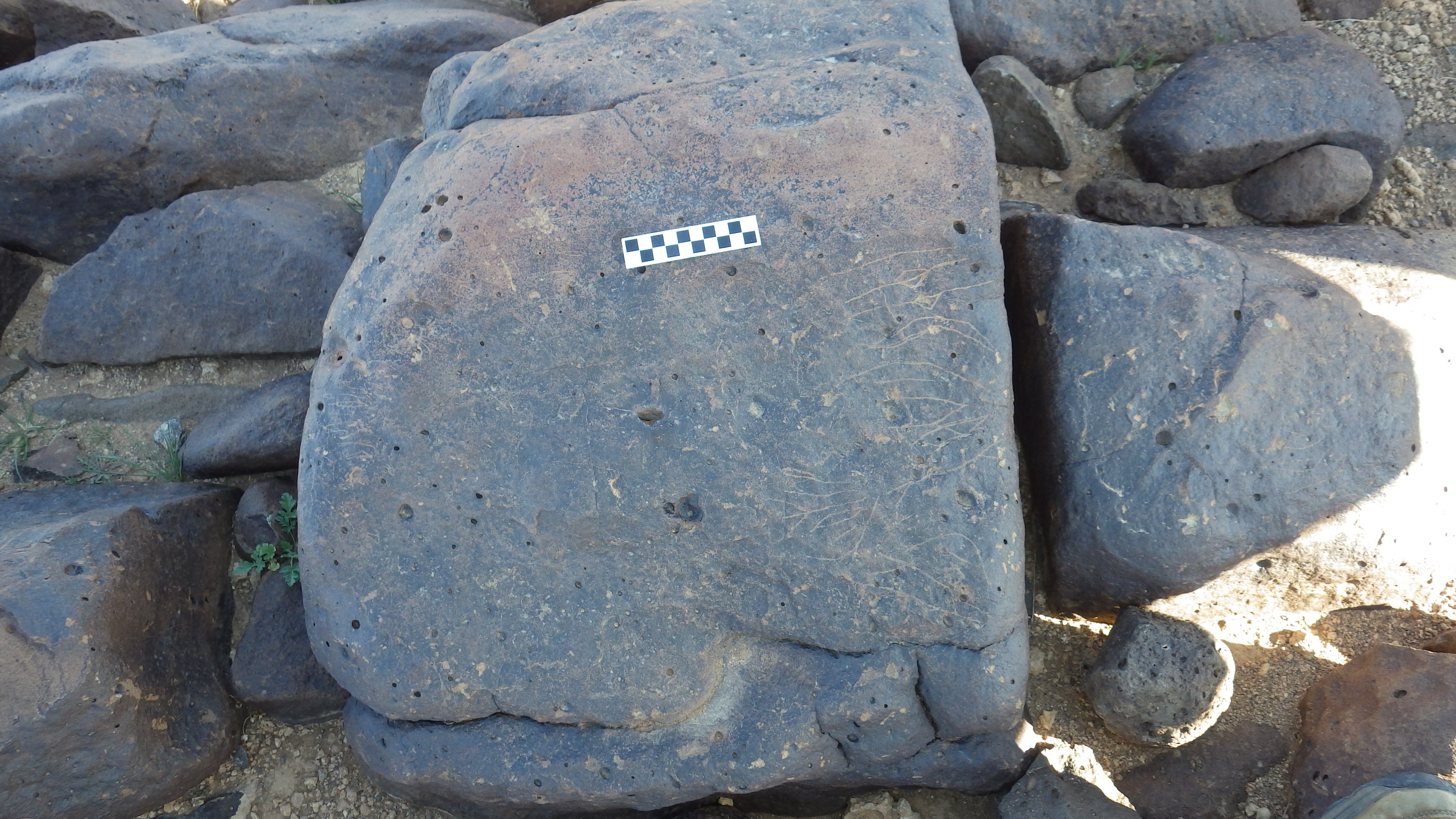 Image of siglum BES20 629