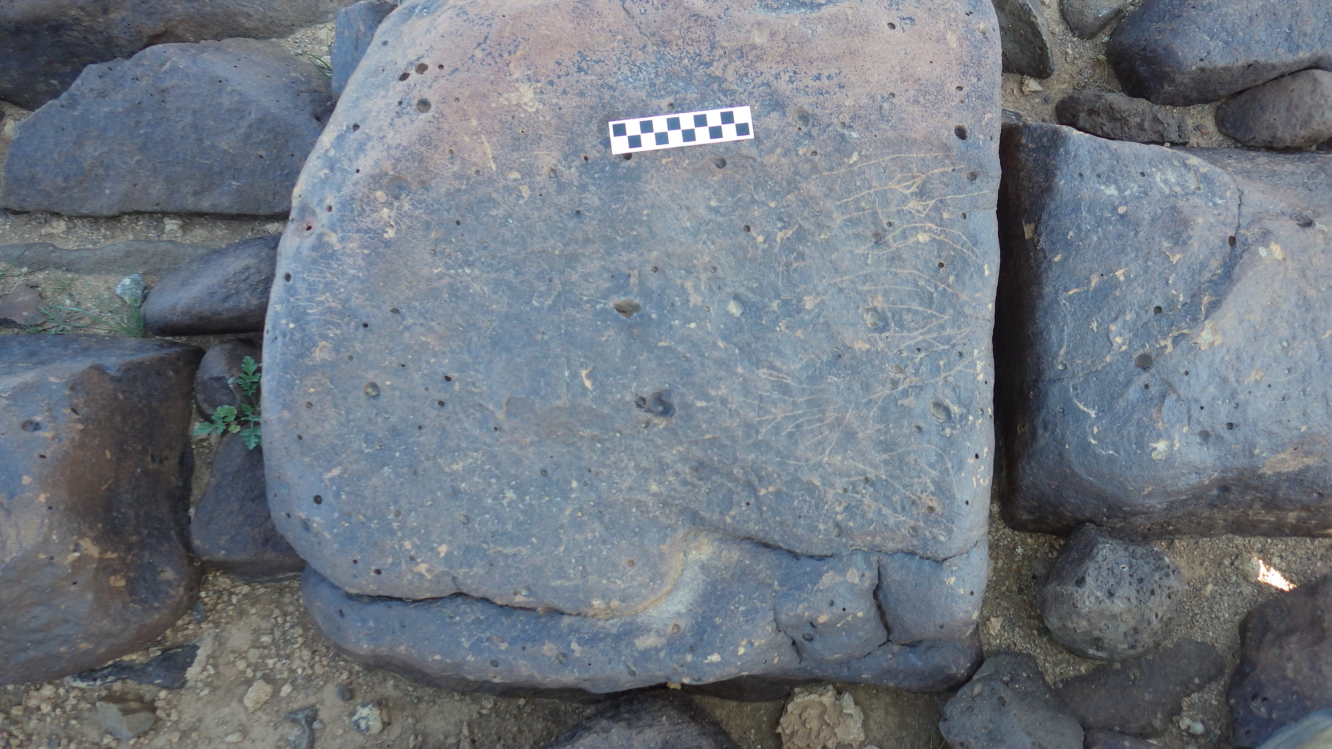 Image of siglum BES20 629