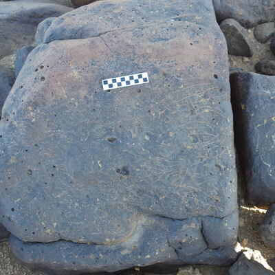 Image of siglum BES20 629