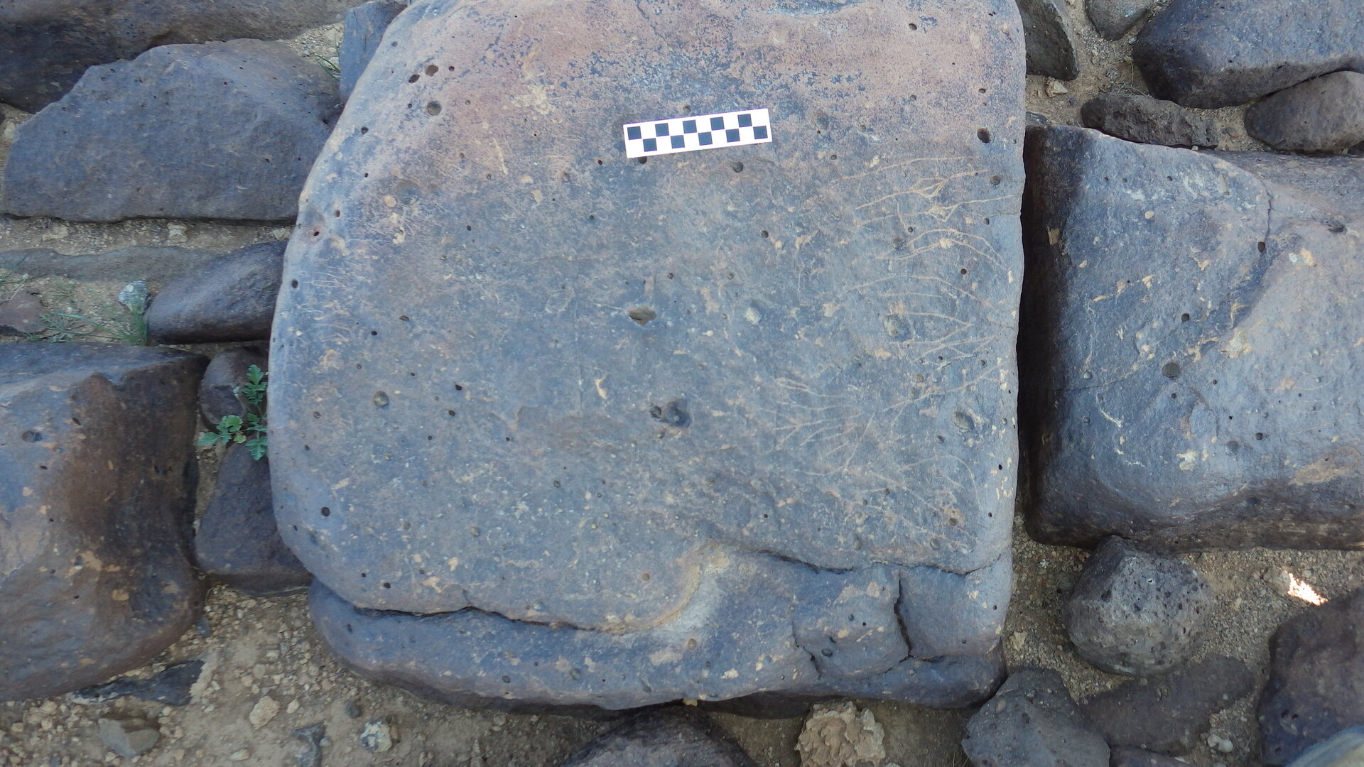Image of siglum BES20 629