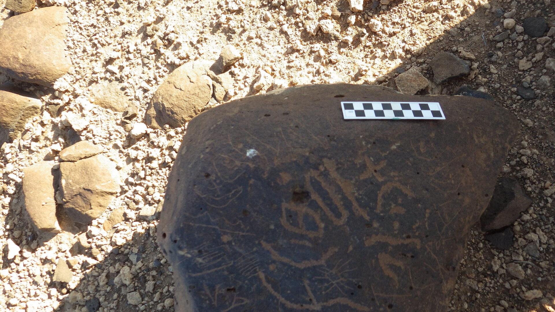 Image of siglum BES20 630