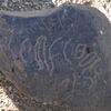 Image of siglum BES20 630