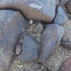 Image of siglum BES20 635