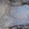 Image of siglum BES20 635
