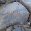 Image of siglum BES20 636