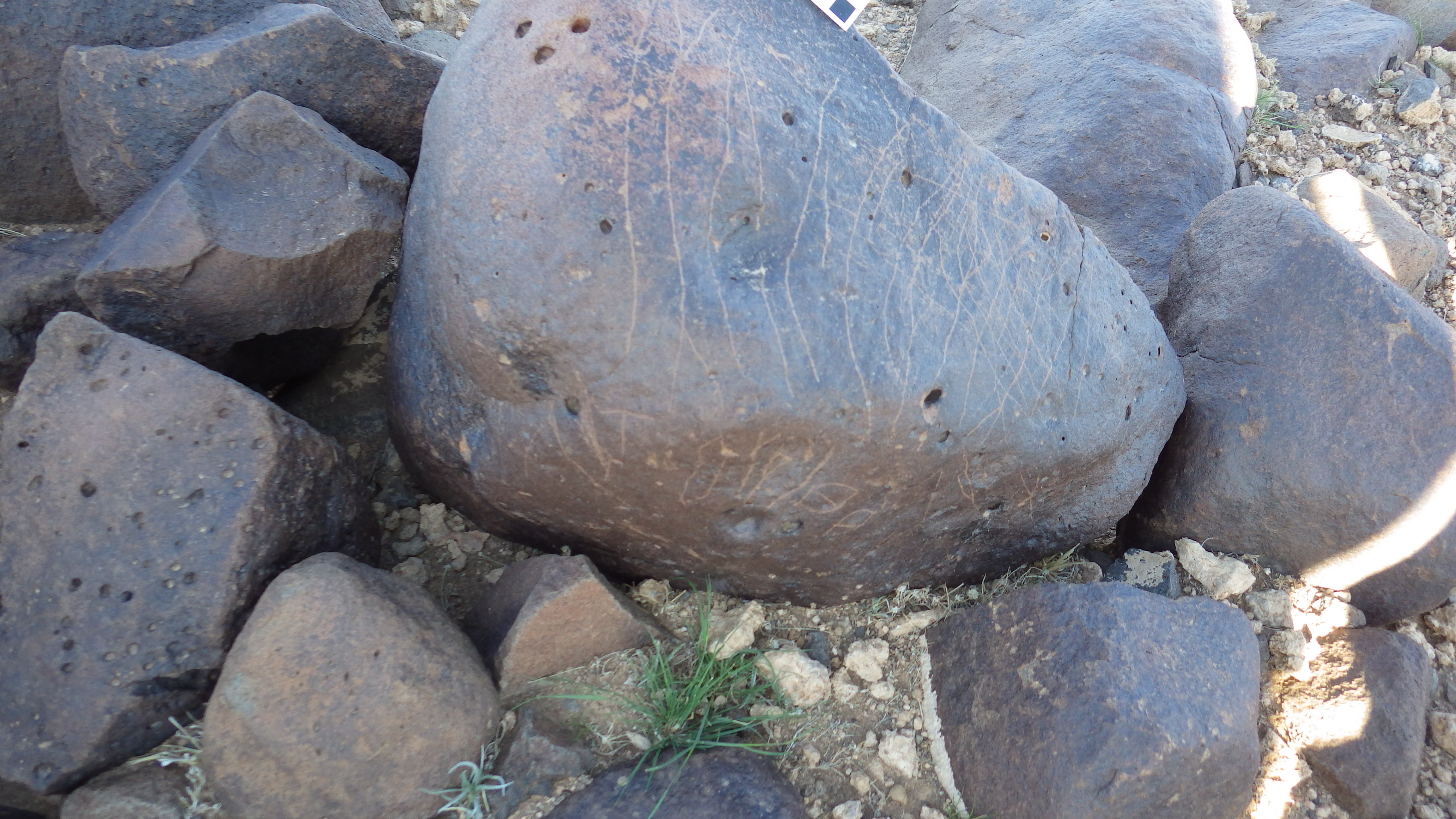 Image of siglum BES20 638