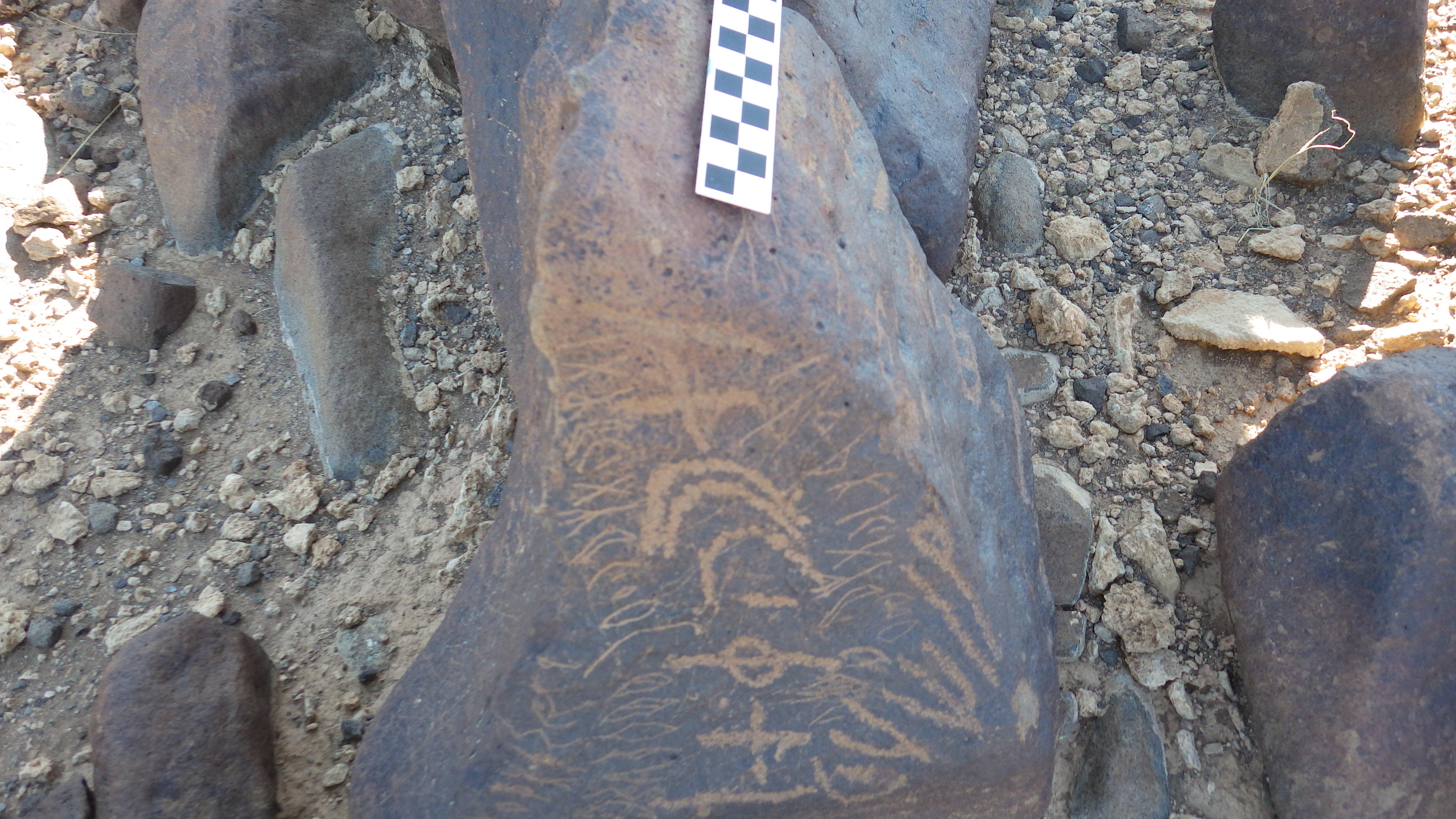 Image of siglum BES20 642