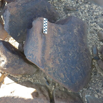 Image of siglum BES20 646