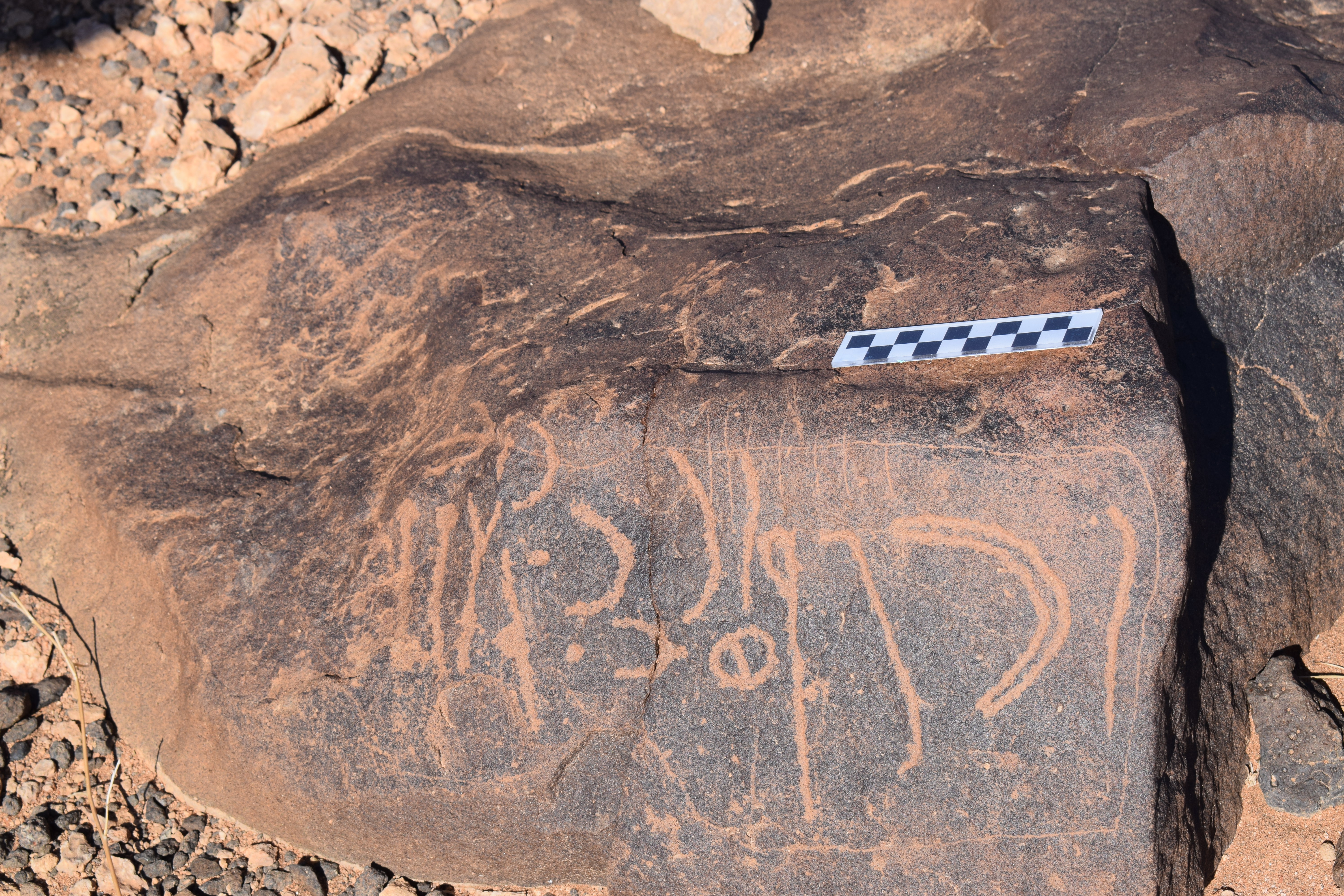 Image of siglum BES20 649