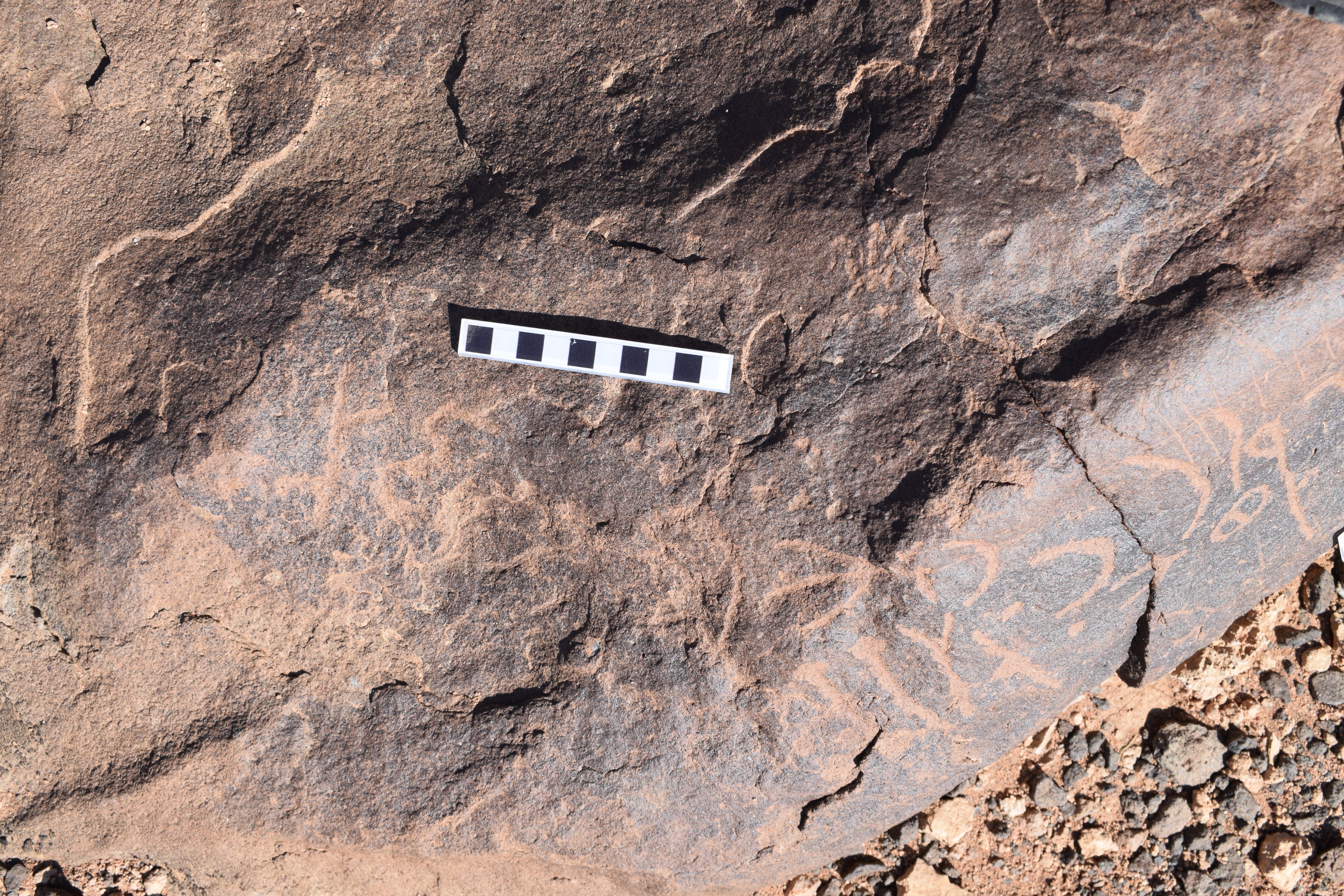 Image of siglum BES20 649