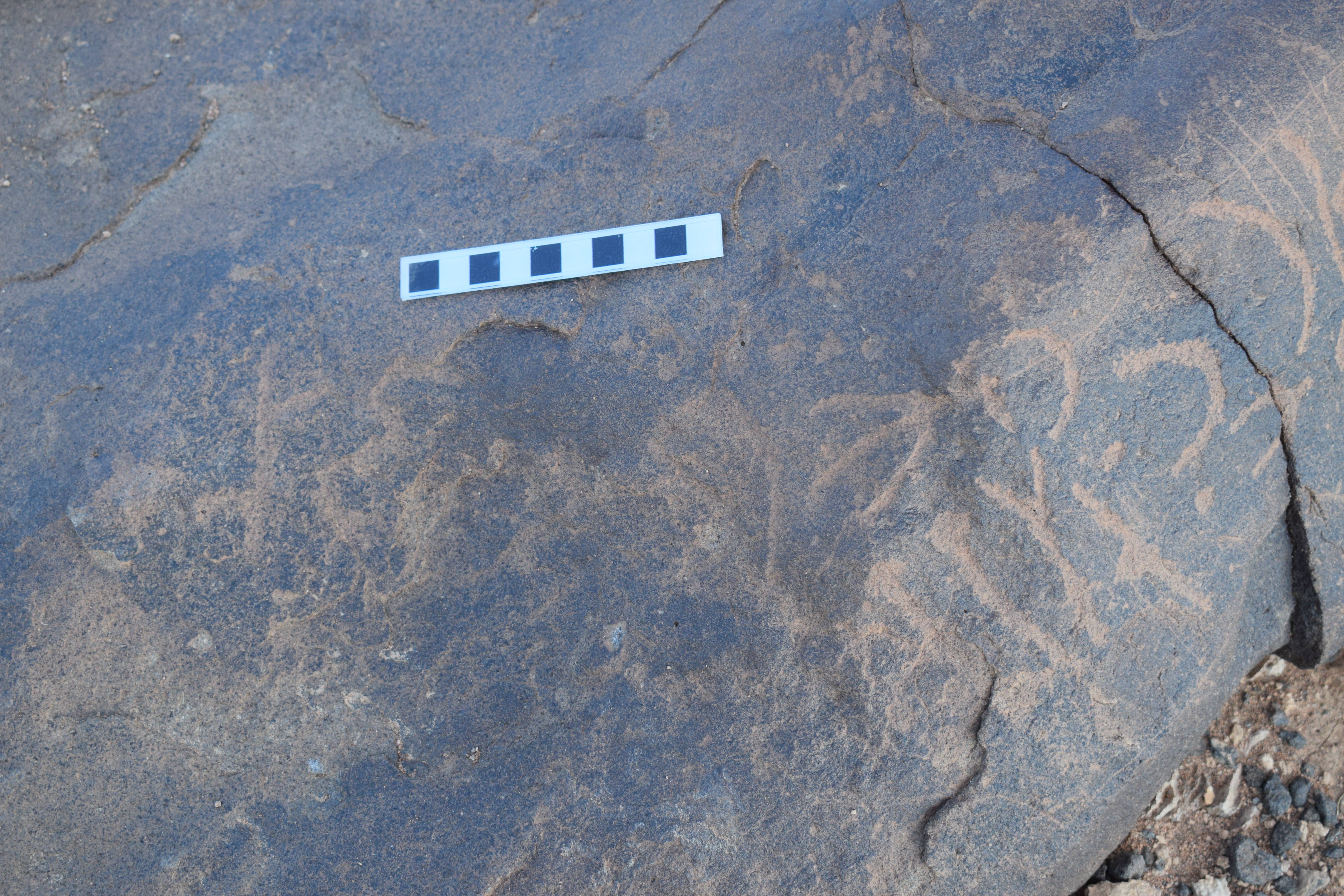 Image of siglum BES20 649