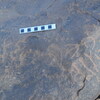 Image of siglum BES20 649