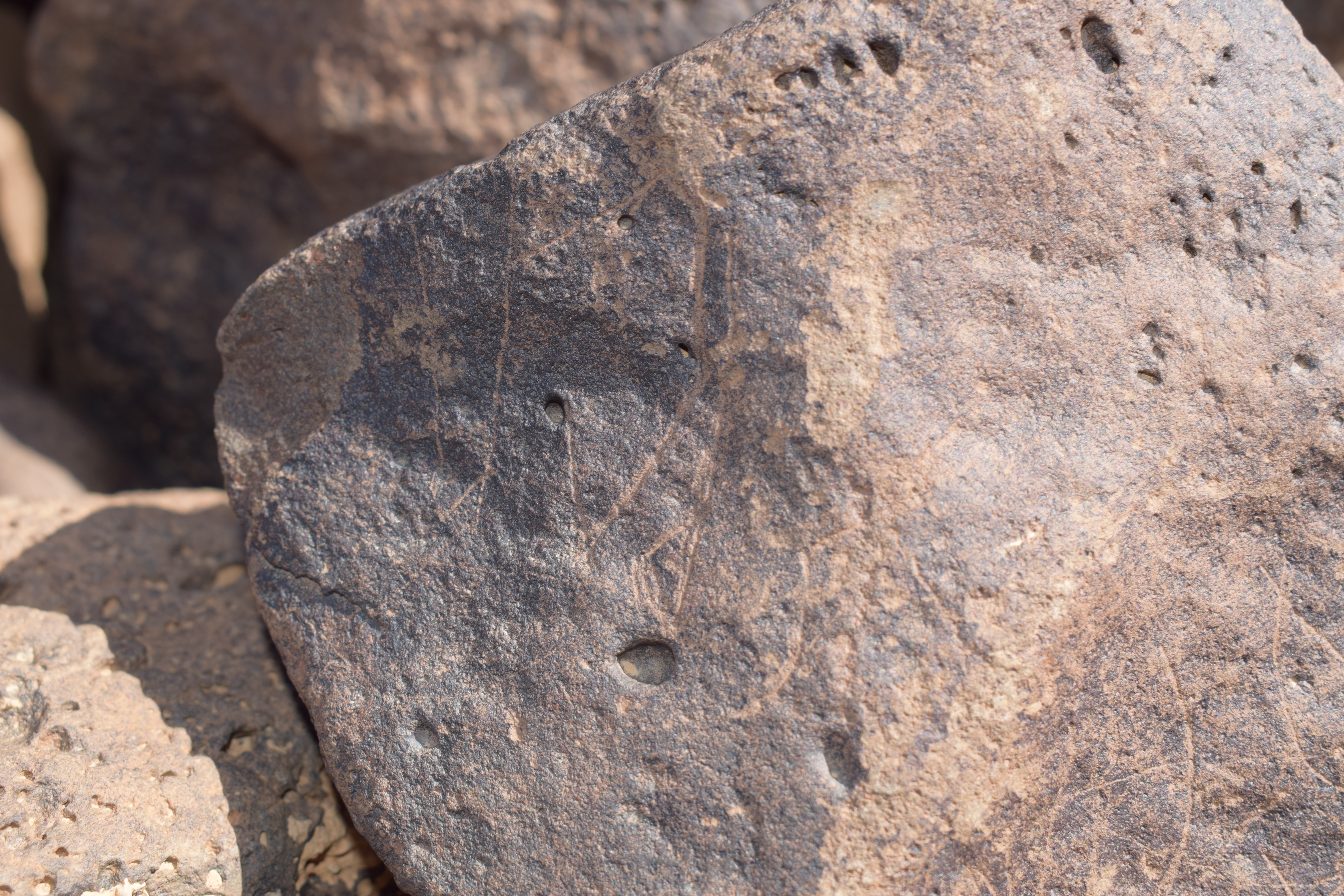 Image of siglum BES20 651
