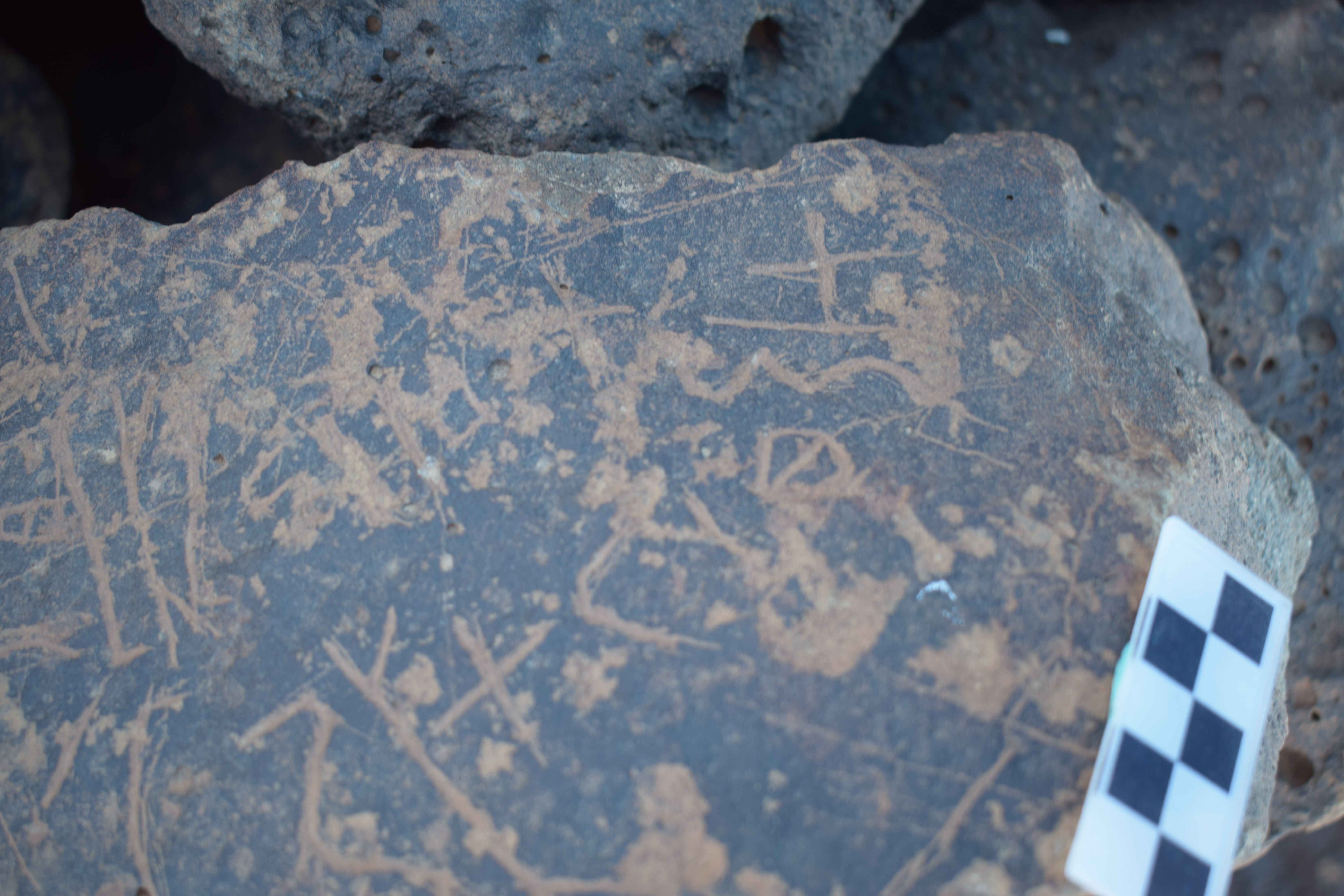 Image of siglum BES20 655