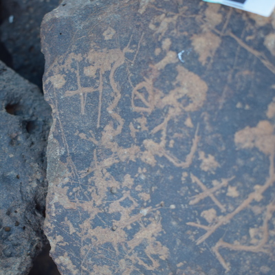 Image of siglum BES20 655