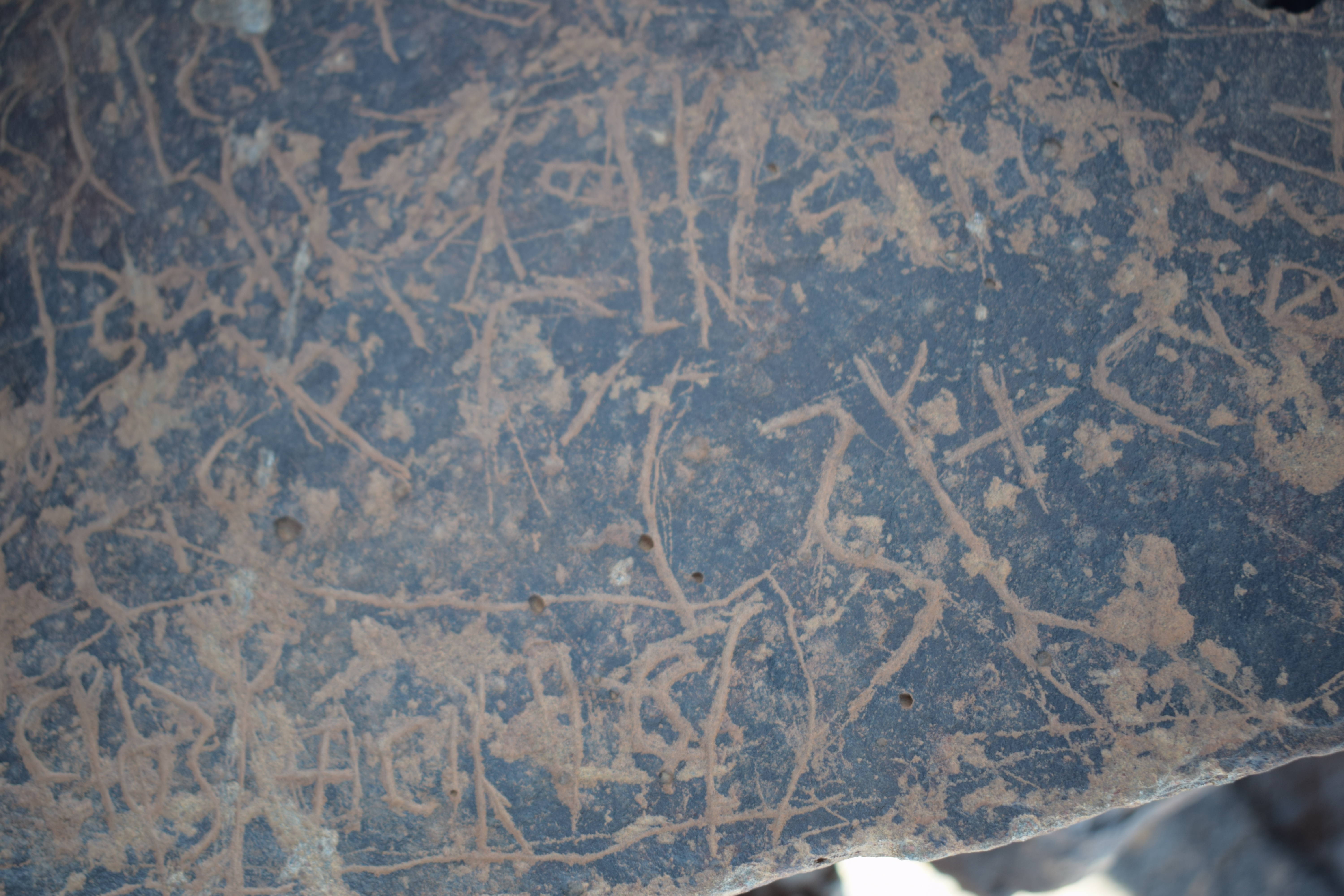 Image of siglum BES20 660