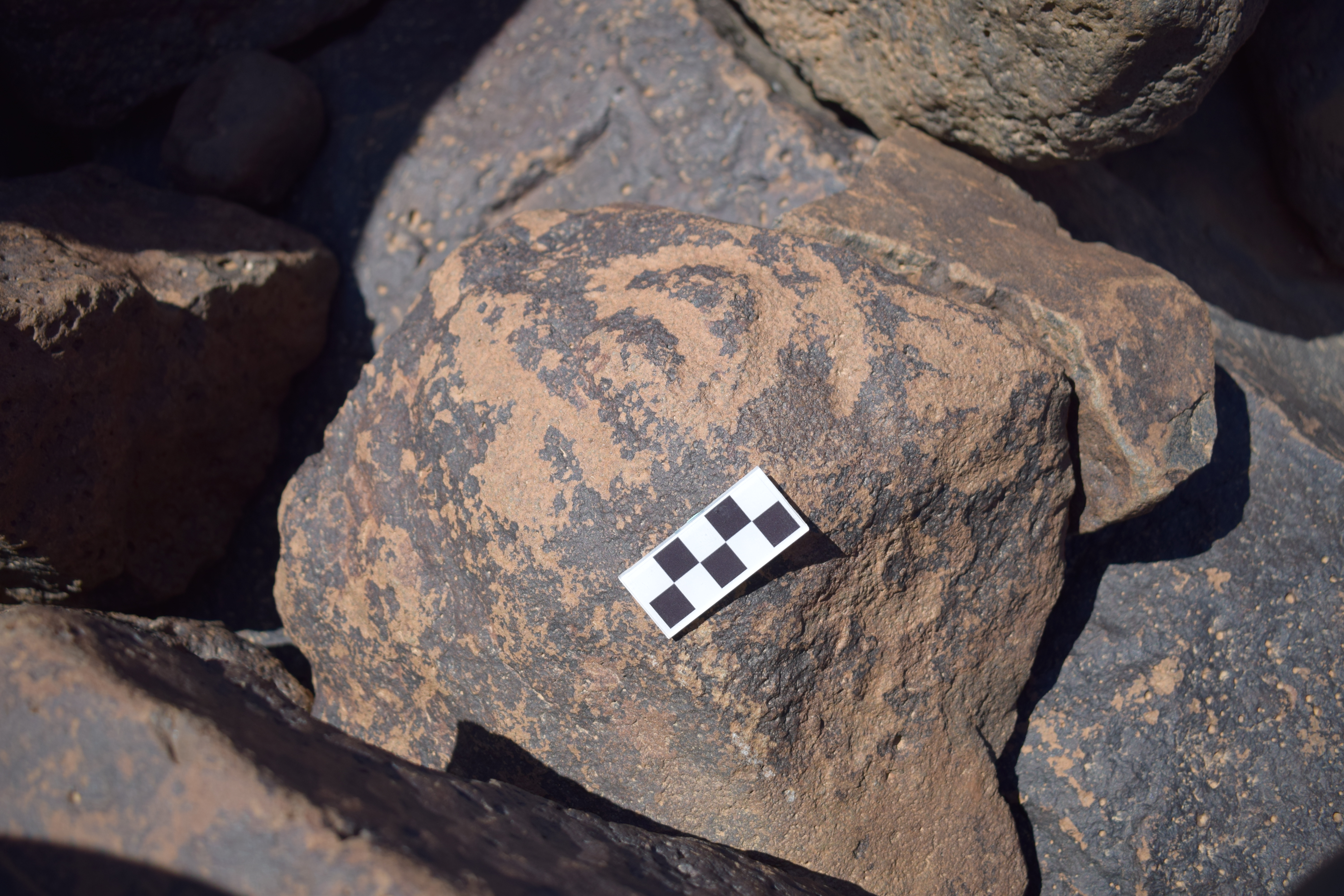 Image of siglum BES20 661