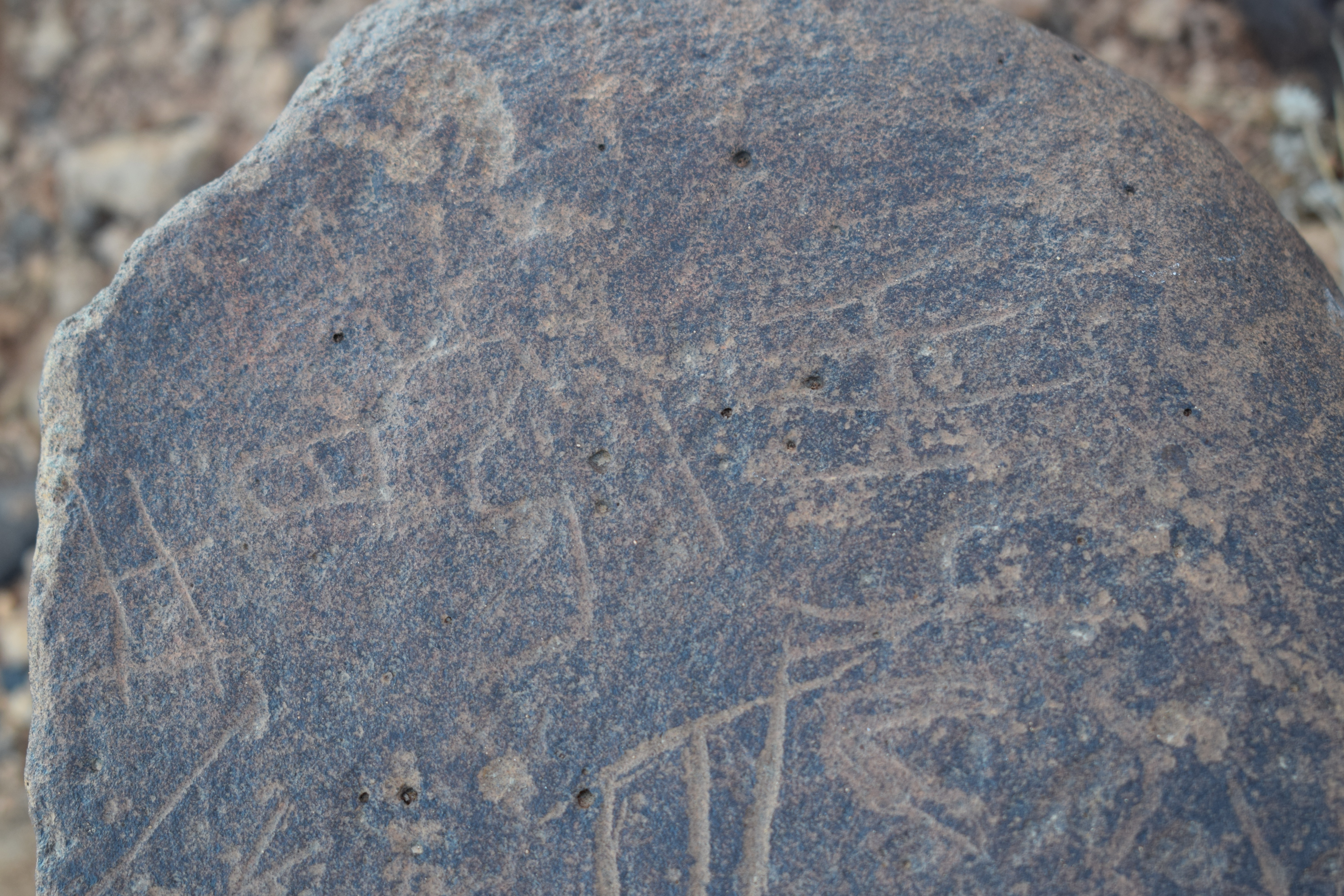 Image of siglum BES20 661