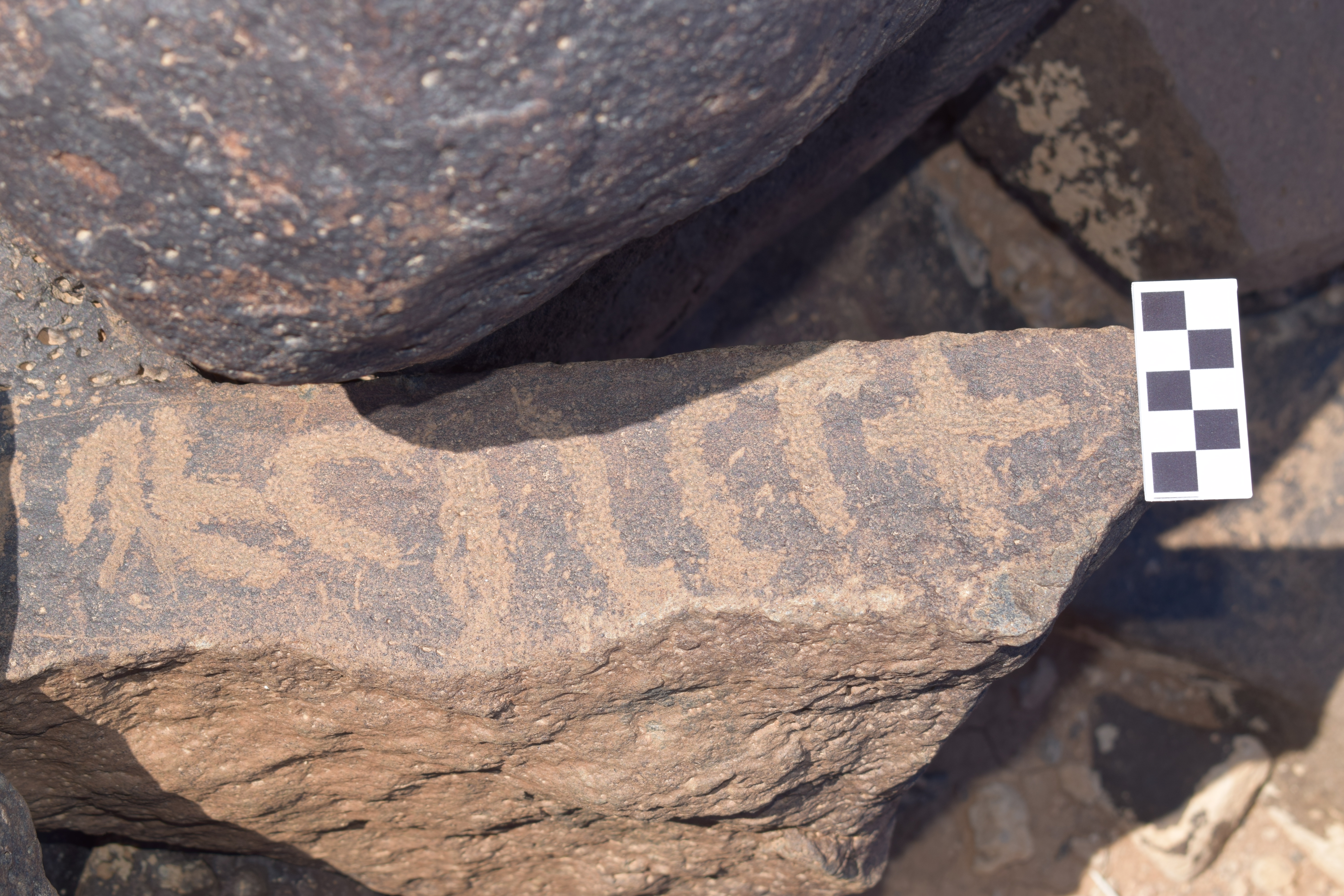 Image of siglum BES20 662