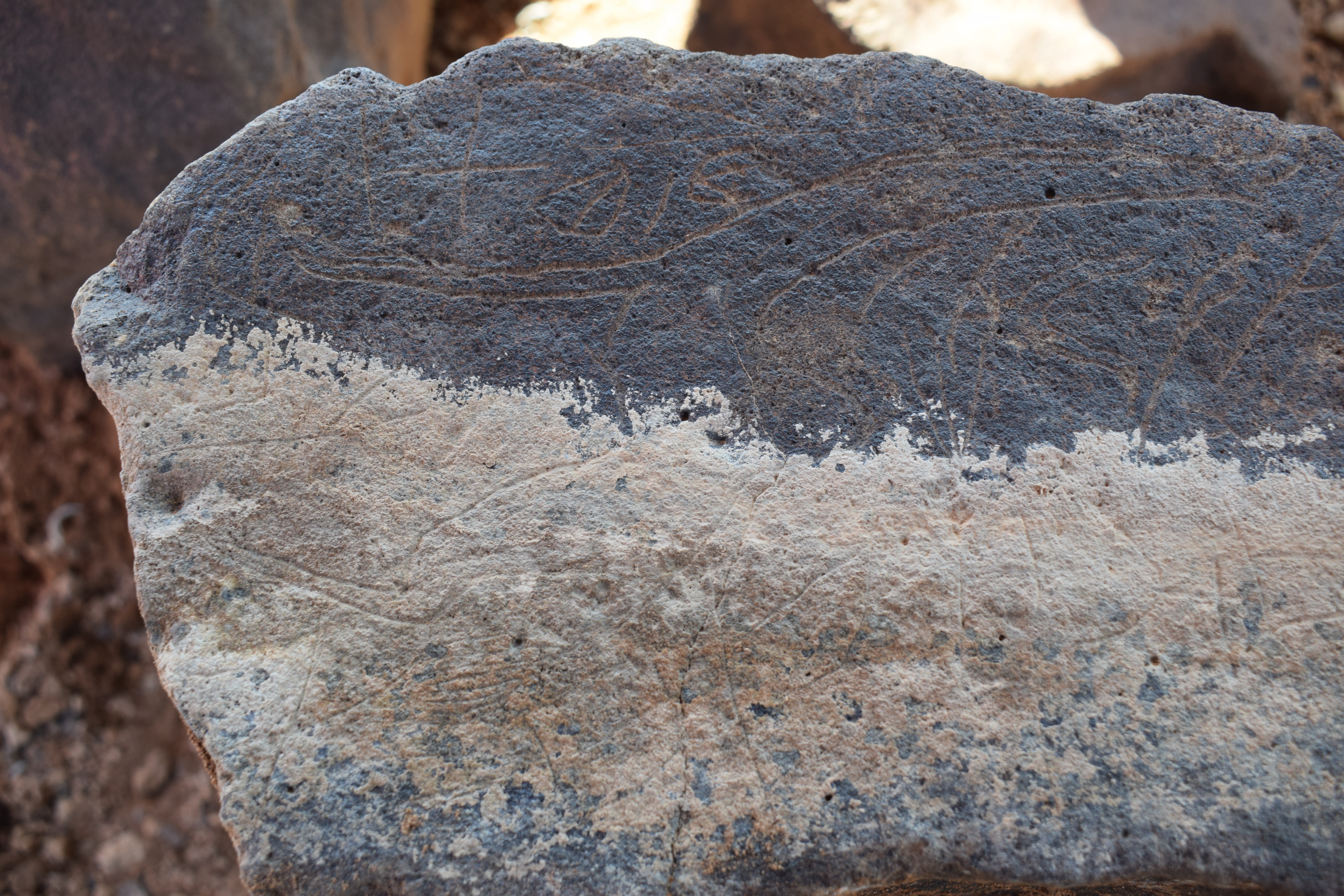 Image of siglum BES20 662