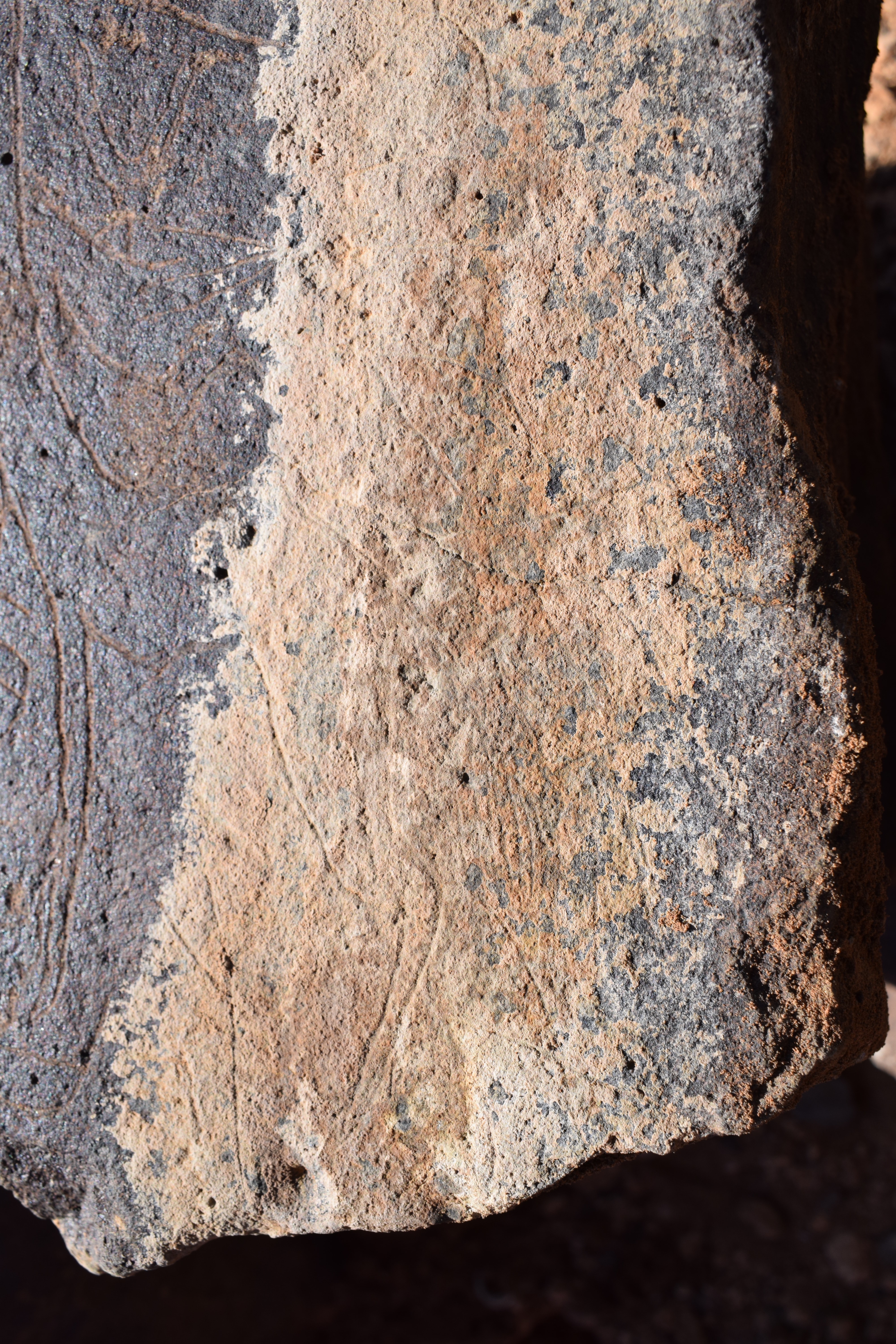 Image of siglum BES20 662