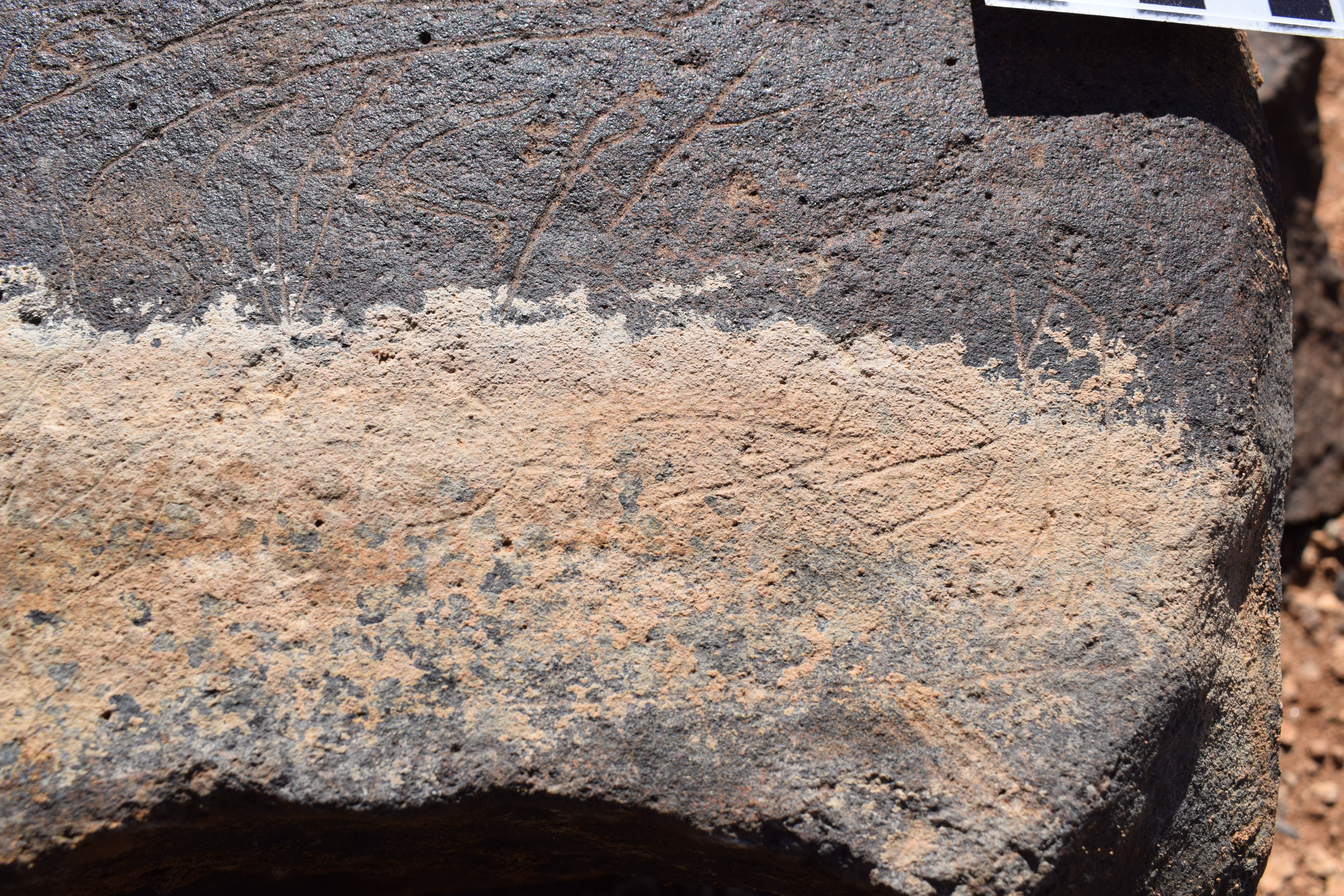 Image of siglum BES20 662