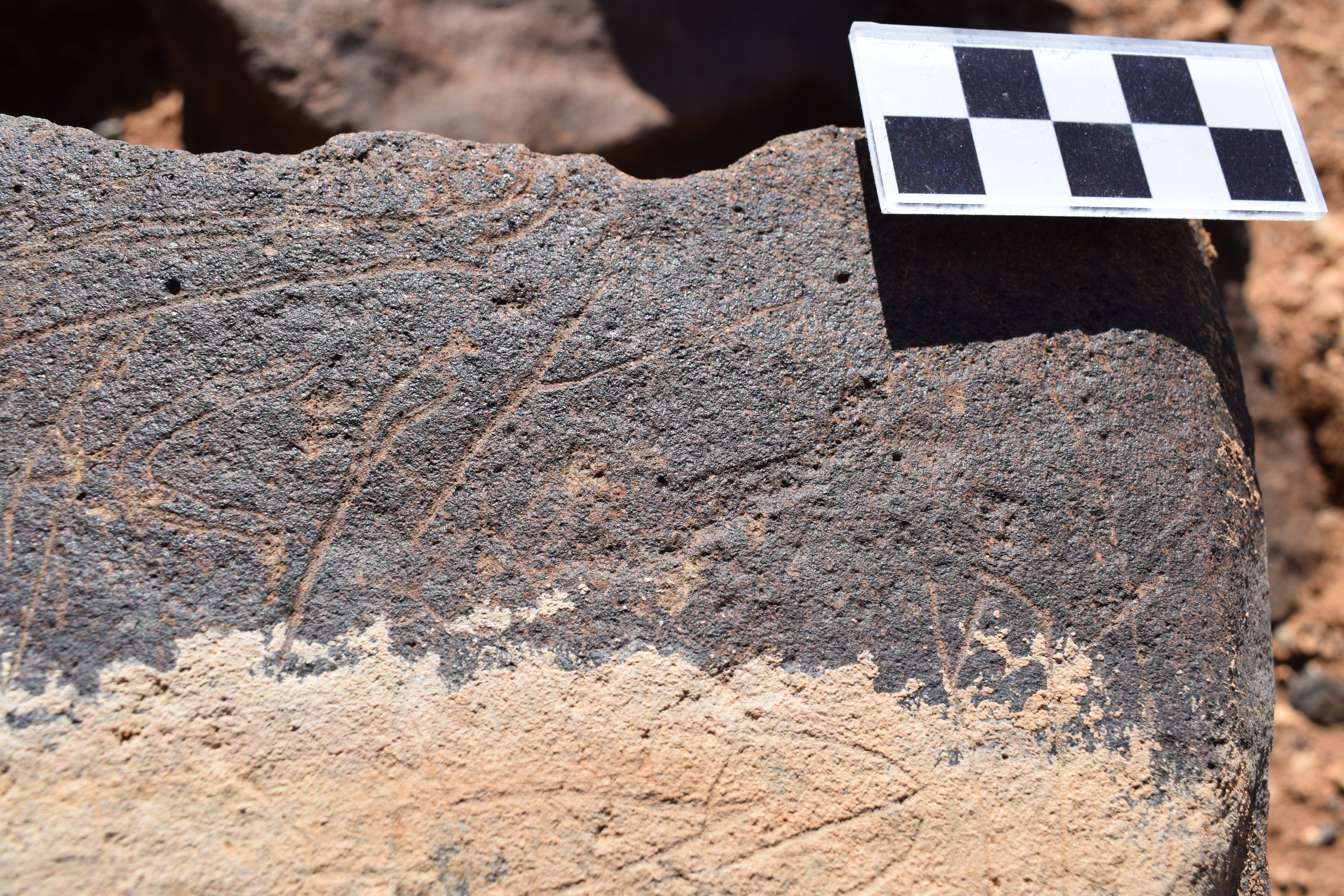 Image of siglum BES20 662