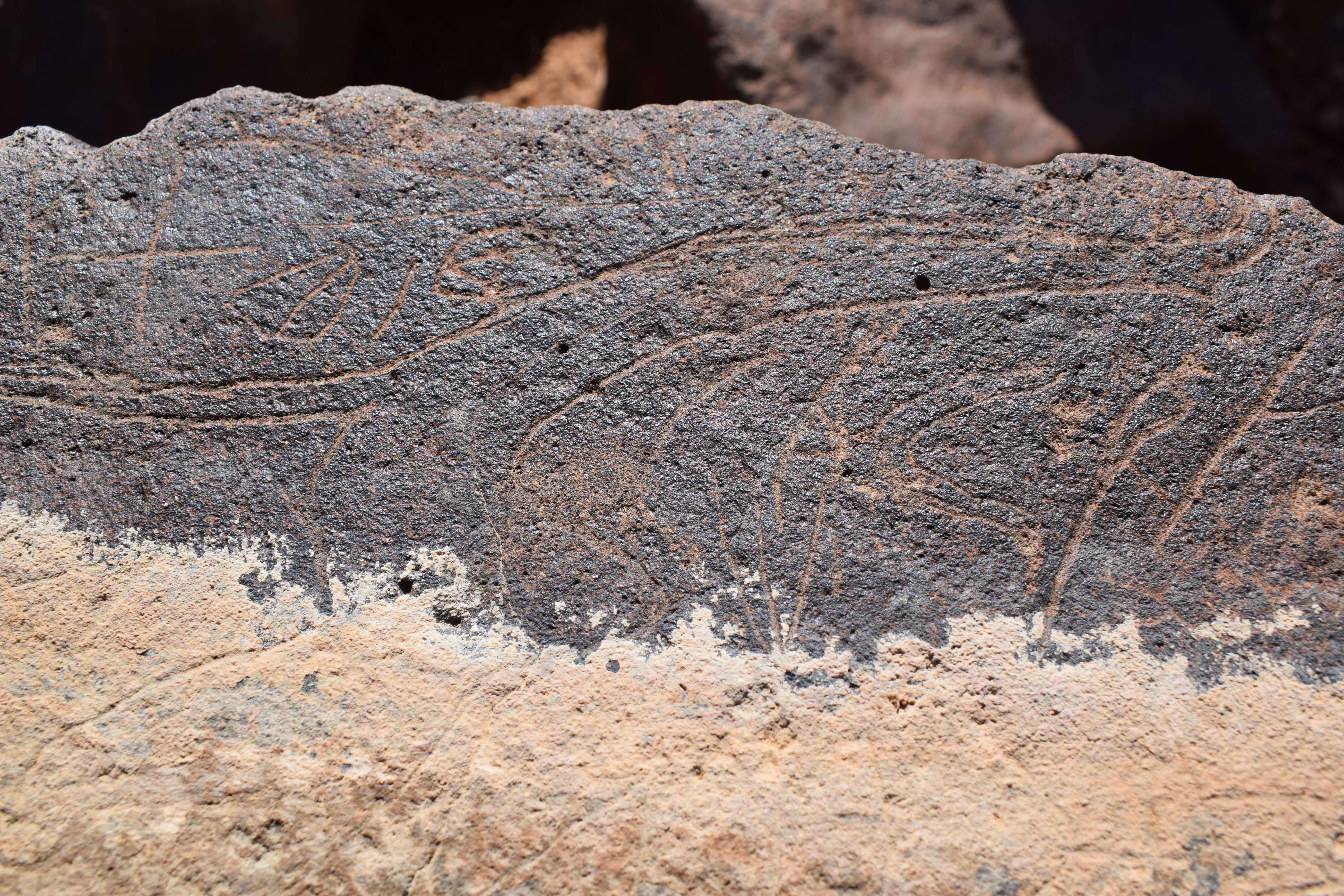 Image of siglum BES20 662