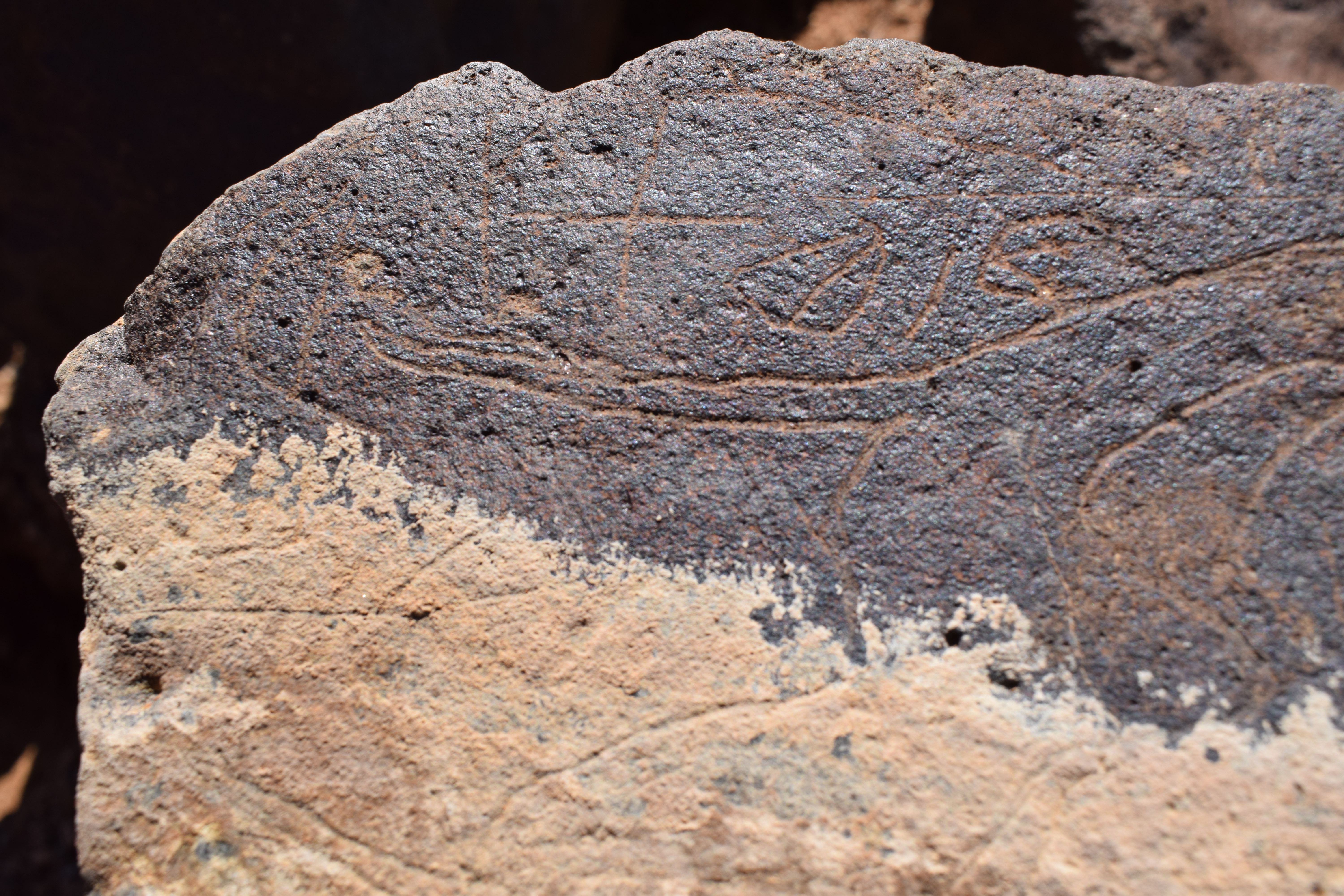 Image of siglum BES20 662