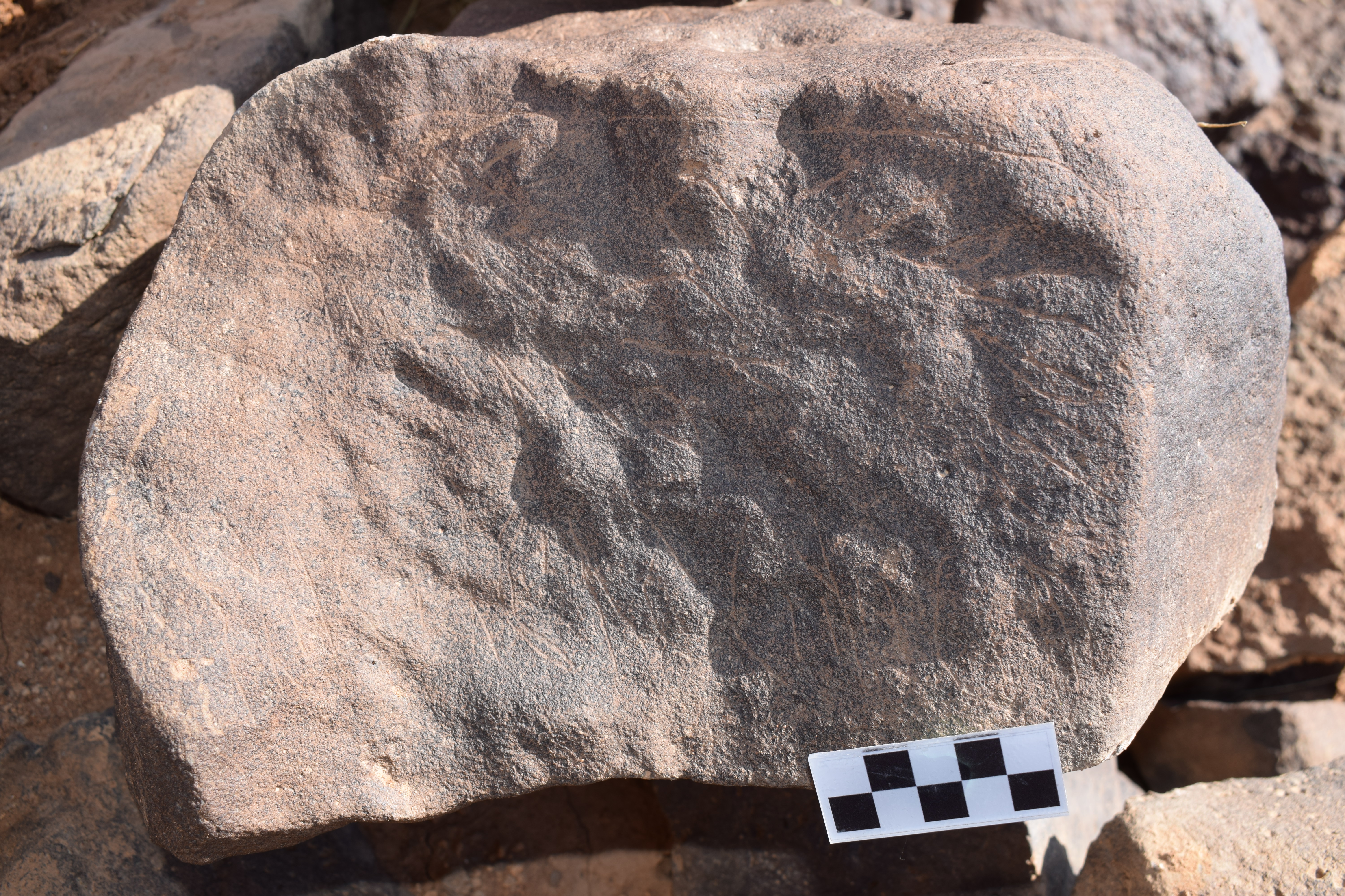 Image of siglum BES20 663