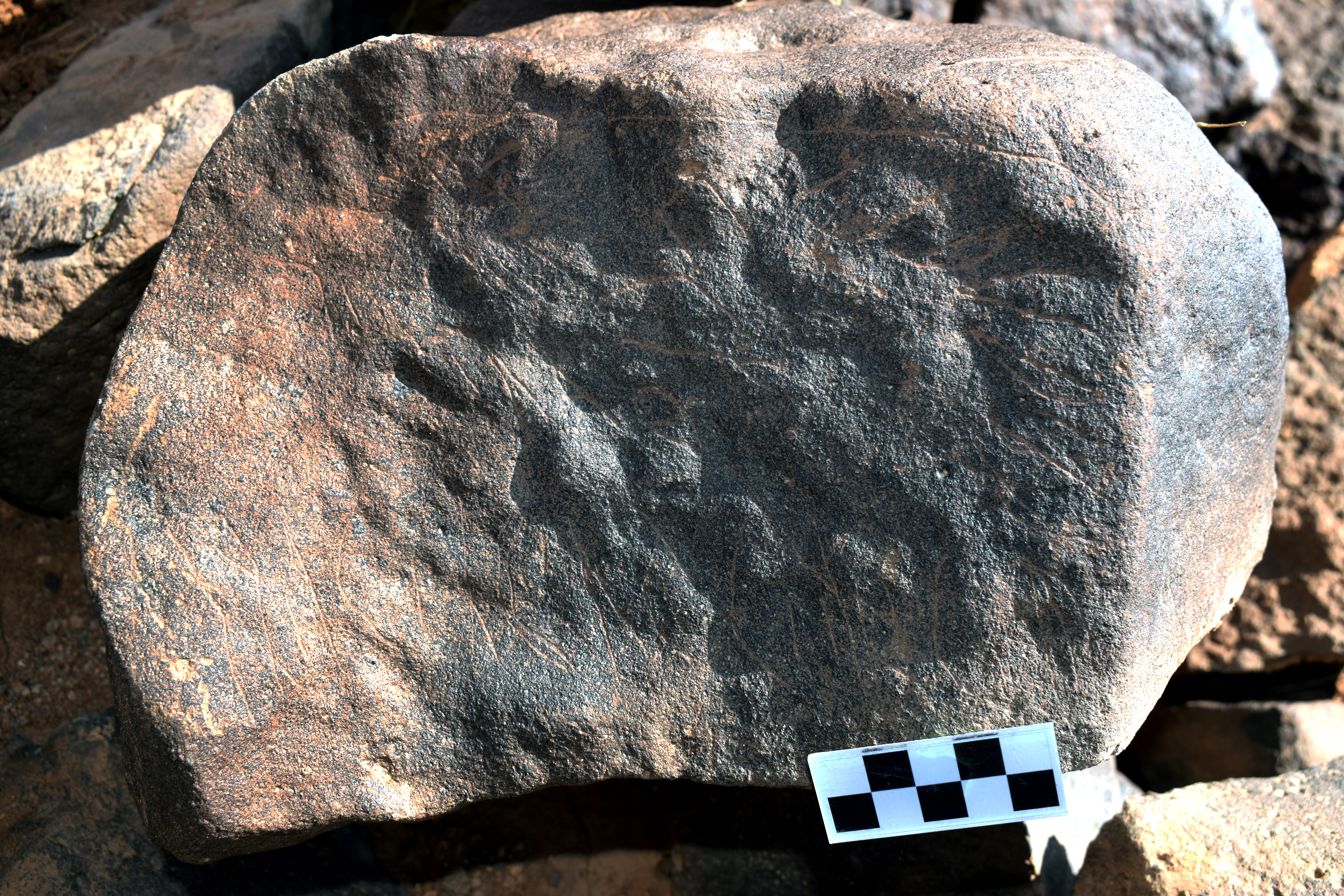 Image of siglum BES20 663