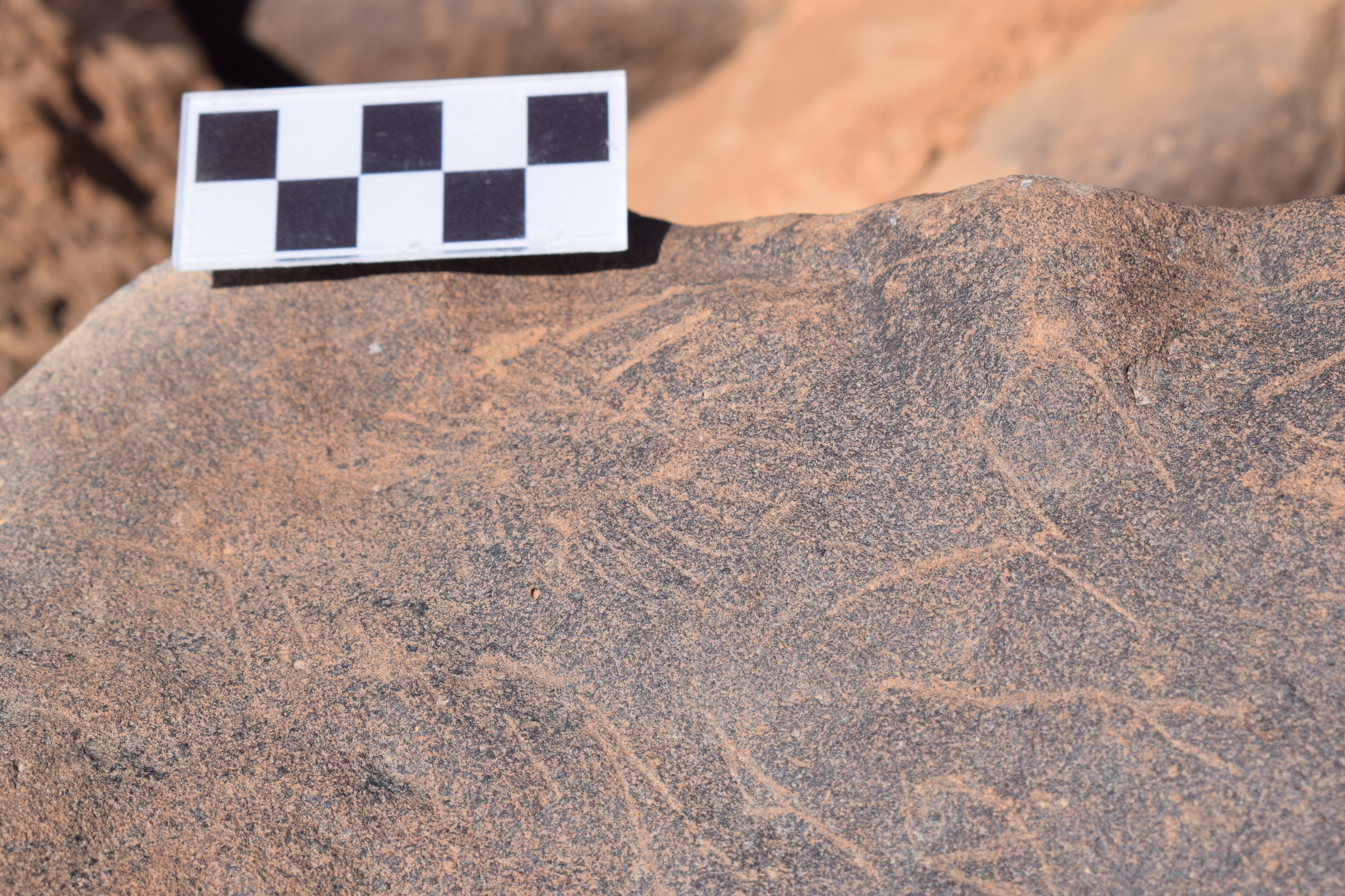 Image of siglum BES20 663