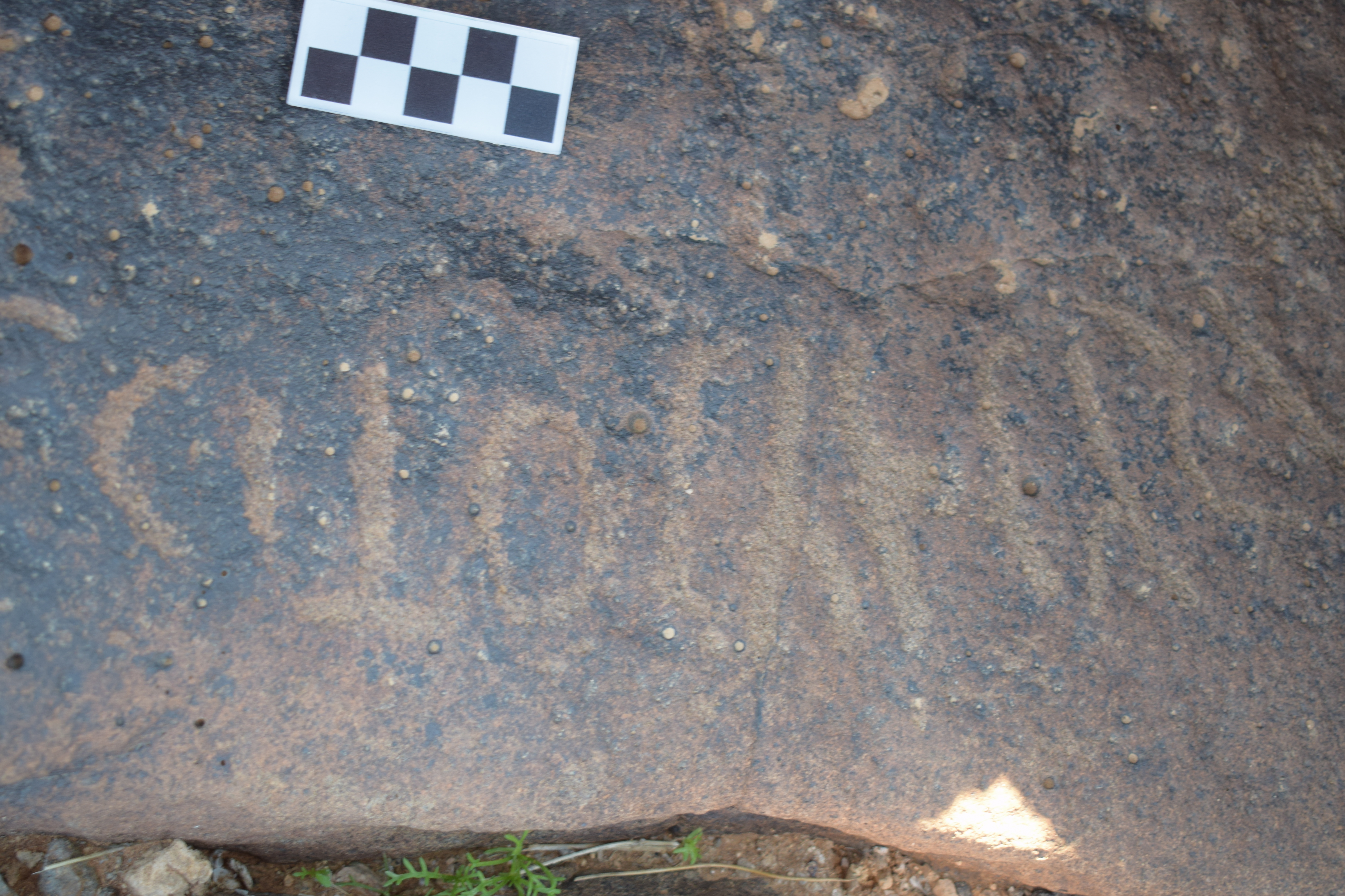 Image of siglum BES20 664