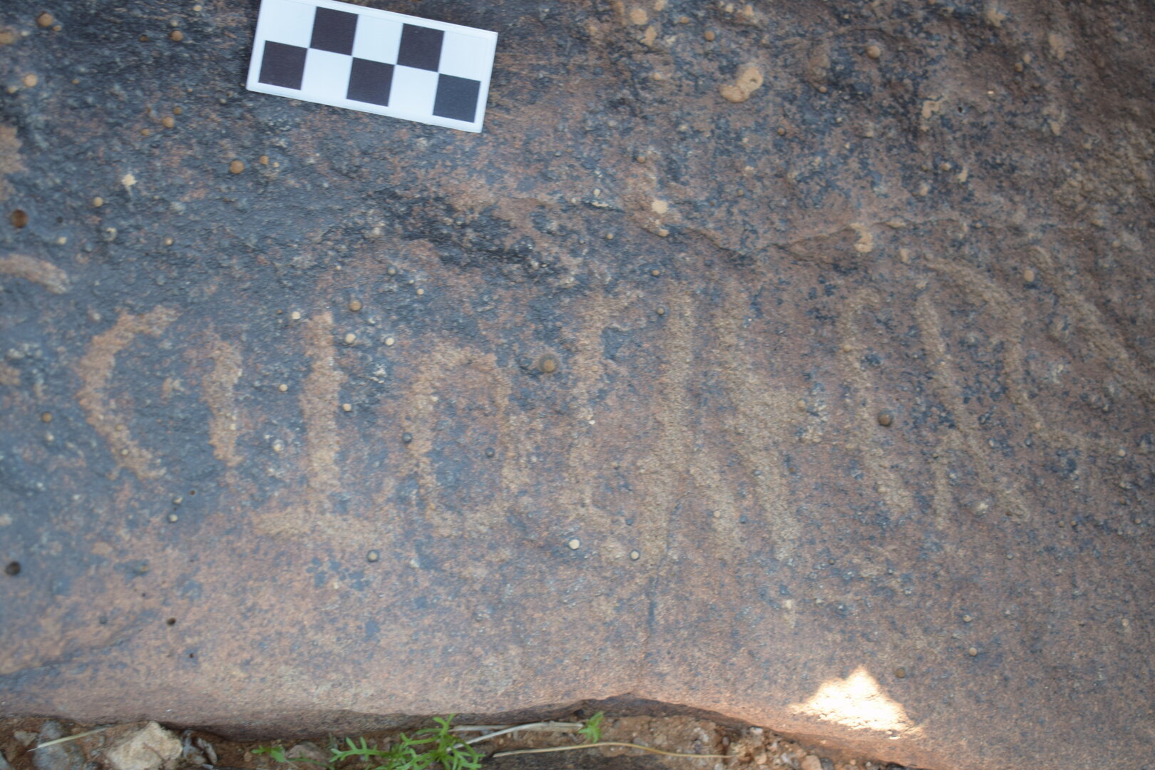 Image of siglum BES20 664