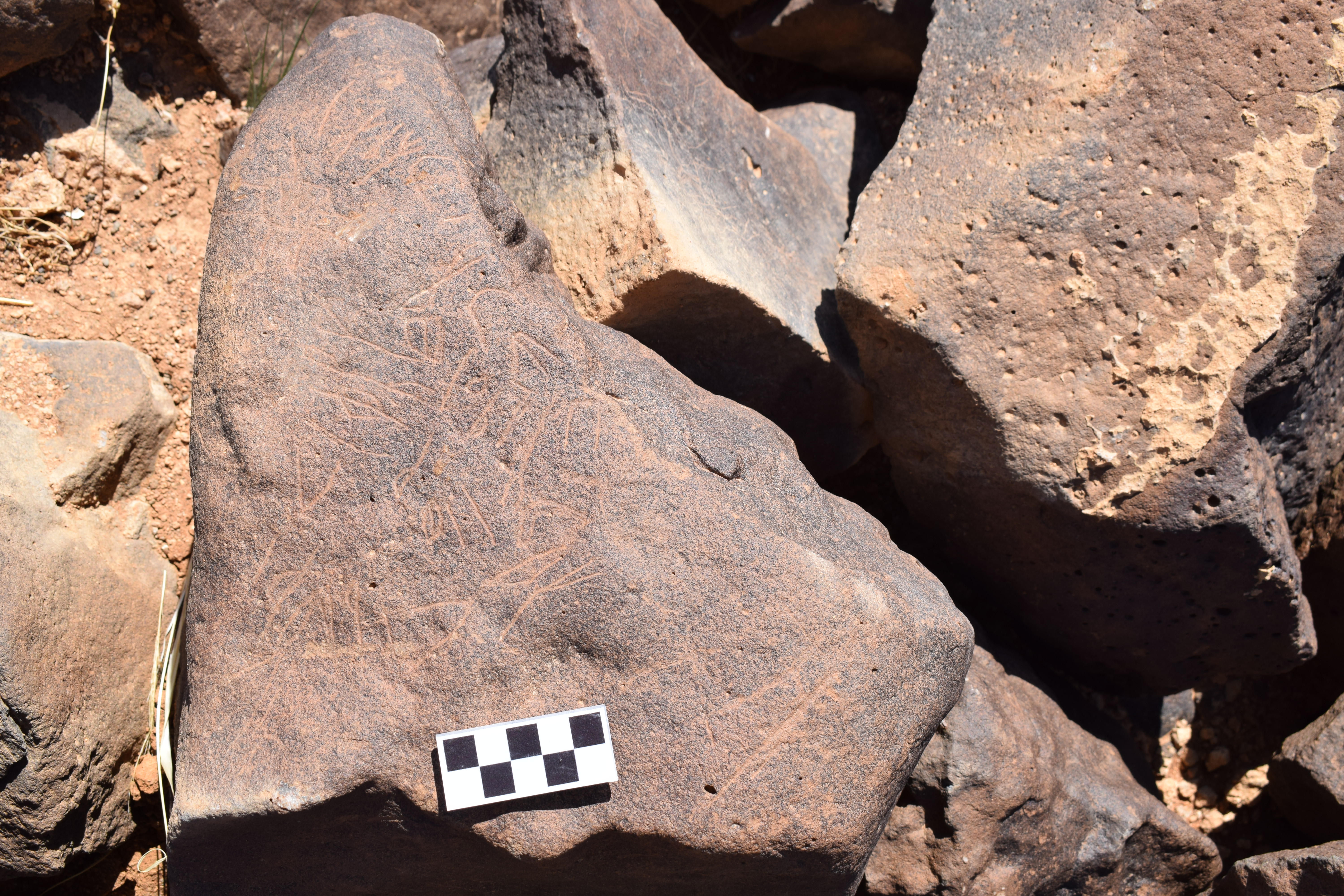 Image of siglum BES20 665