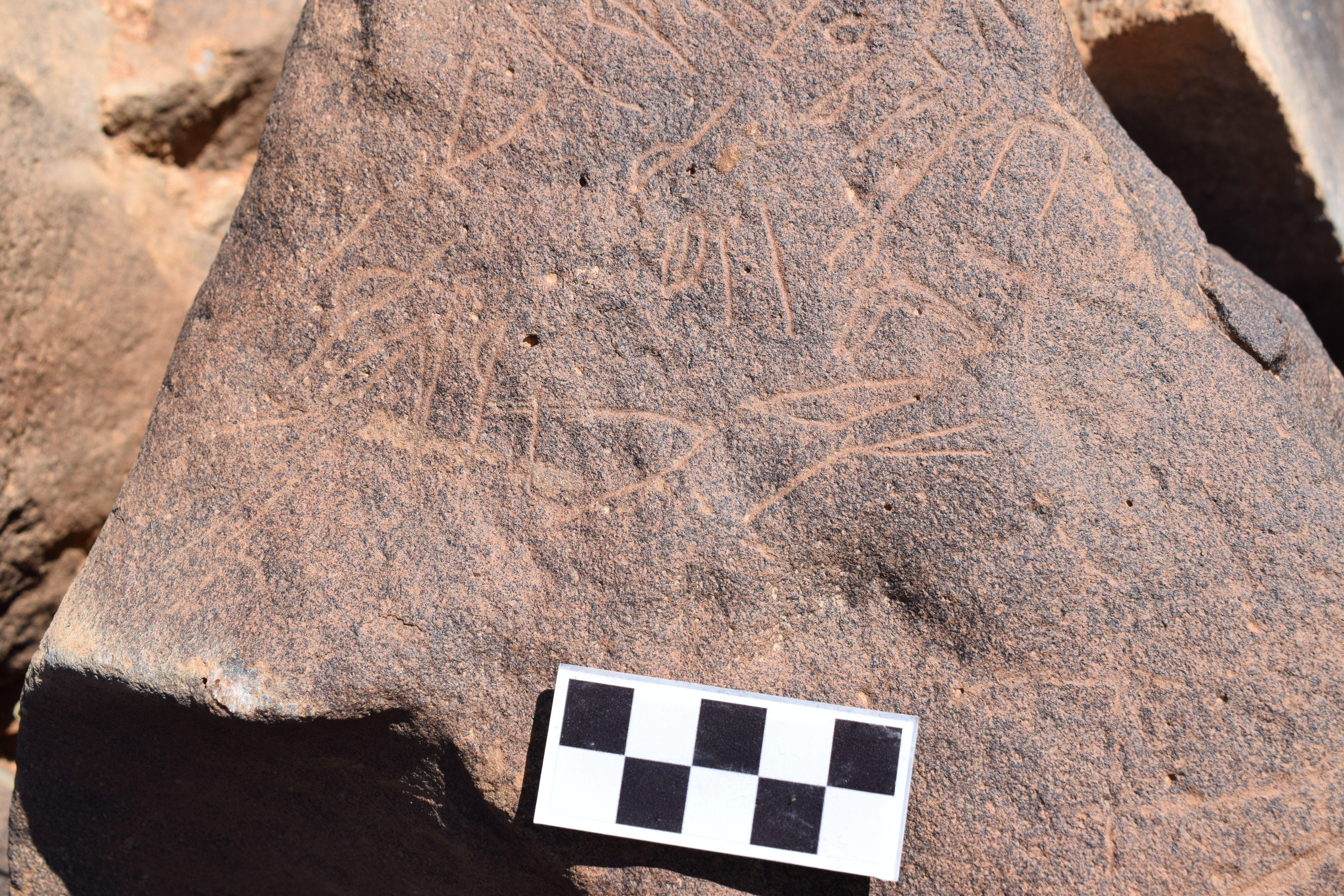 Image of siglum BES20 665