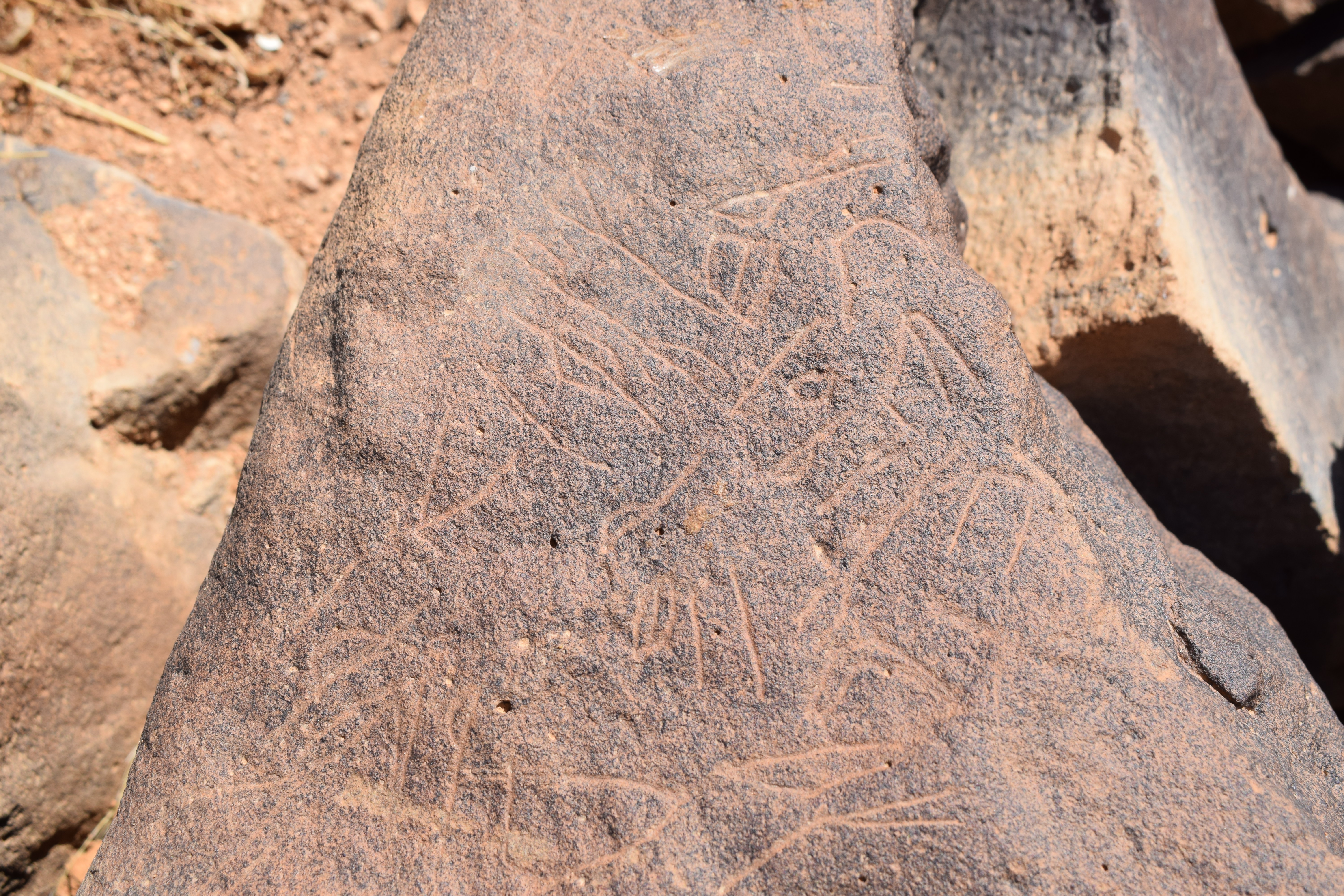 Image of siglum BES20 665