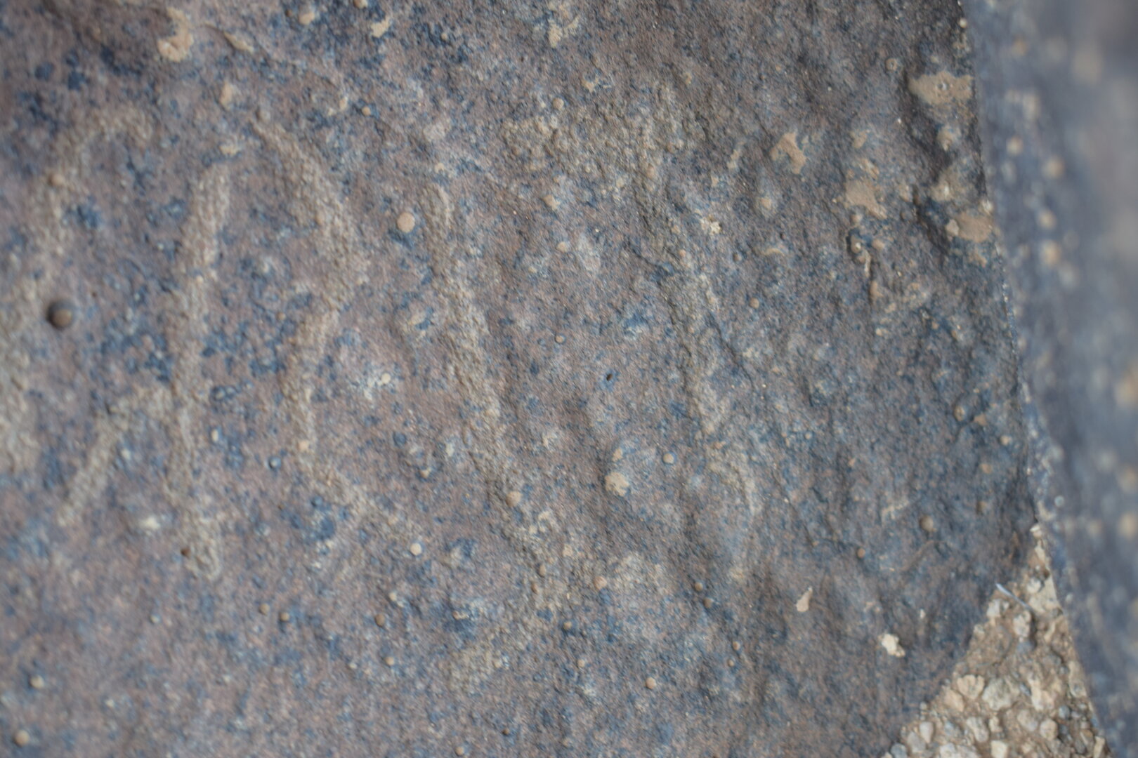 Image of siglum BES20 665