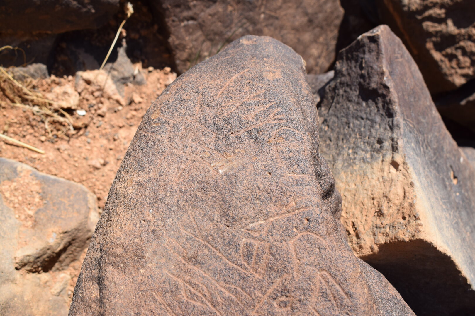 Image of siglum BES20 665