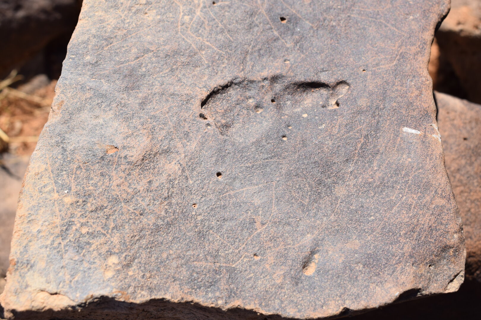 Image of siglum BES20 666