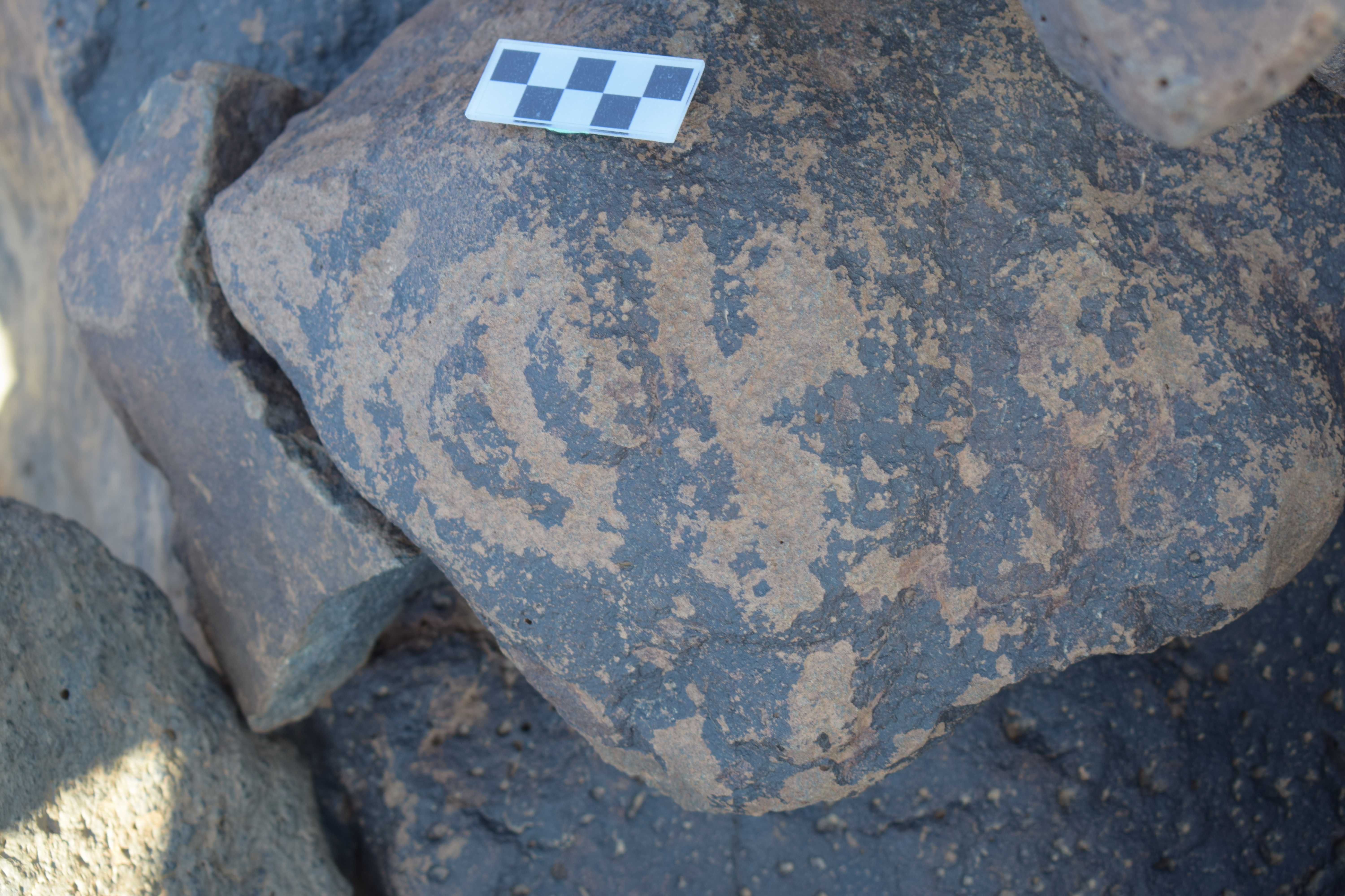 Image of siglum BES20 667