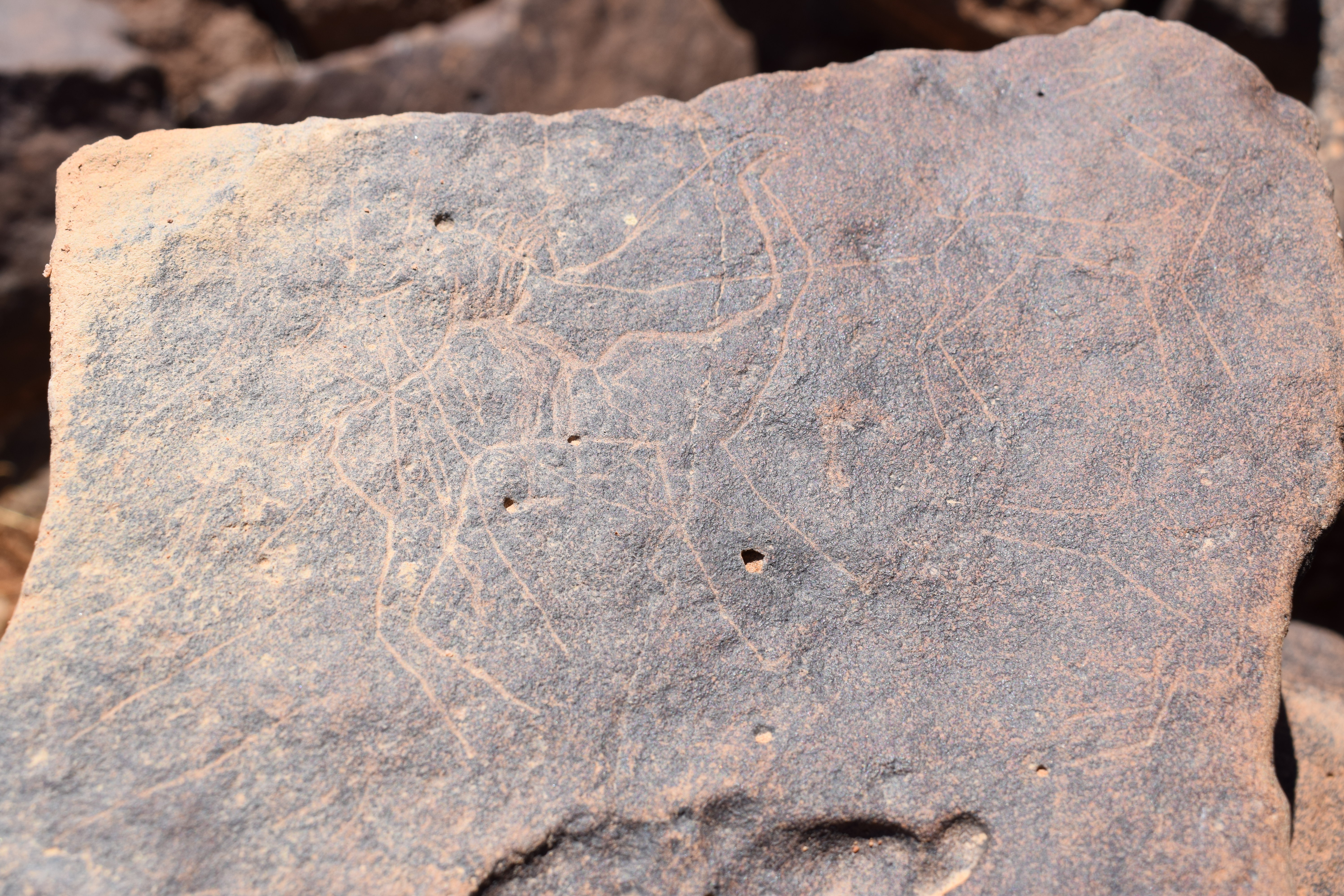 Image of siglum BES20 667